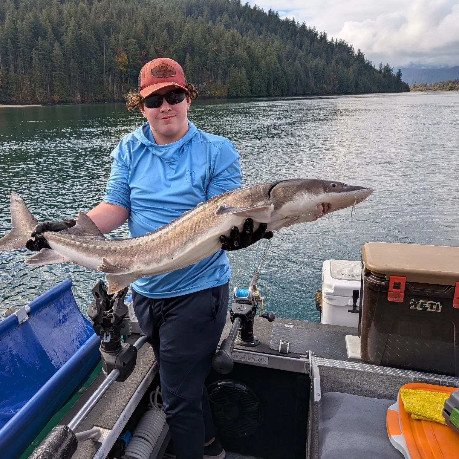 White sturgeon caught on Fishbrain