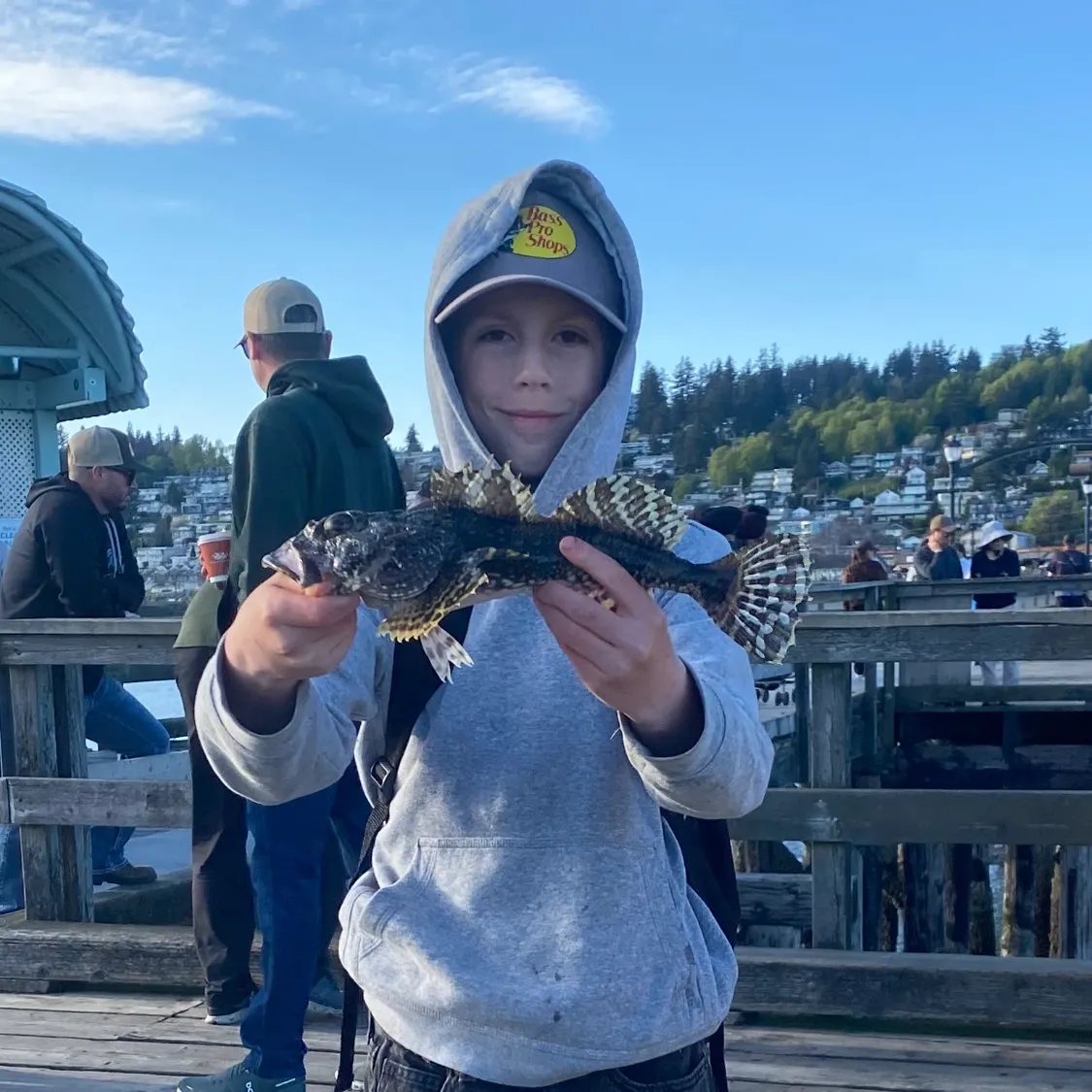 The most recent Great sculpin catches on Fishbrain