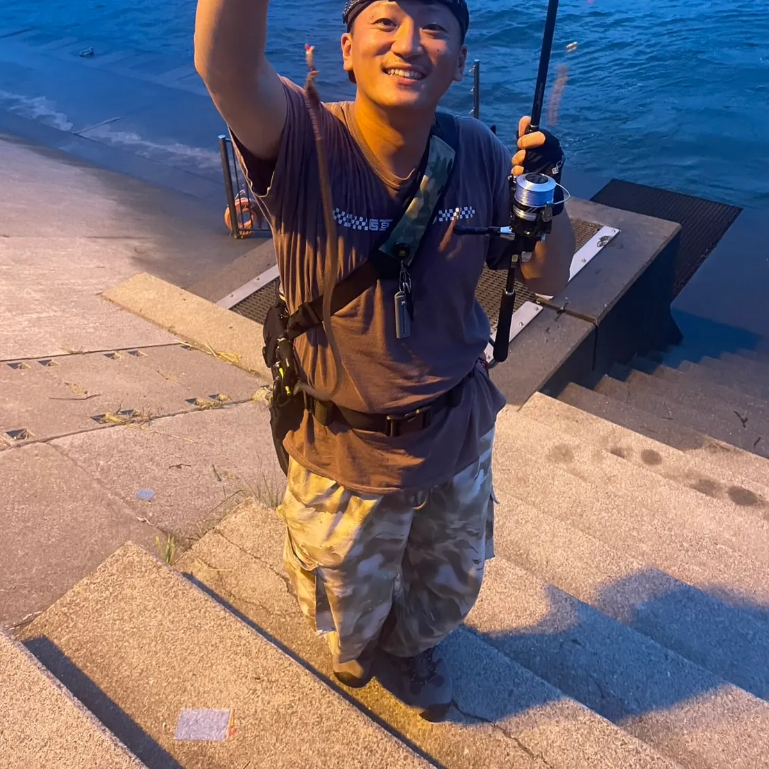 The most recent Flat needlefish catches on Fishbrain