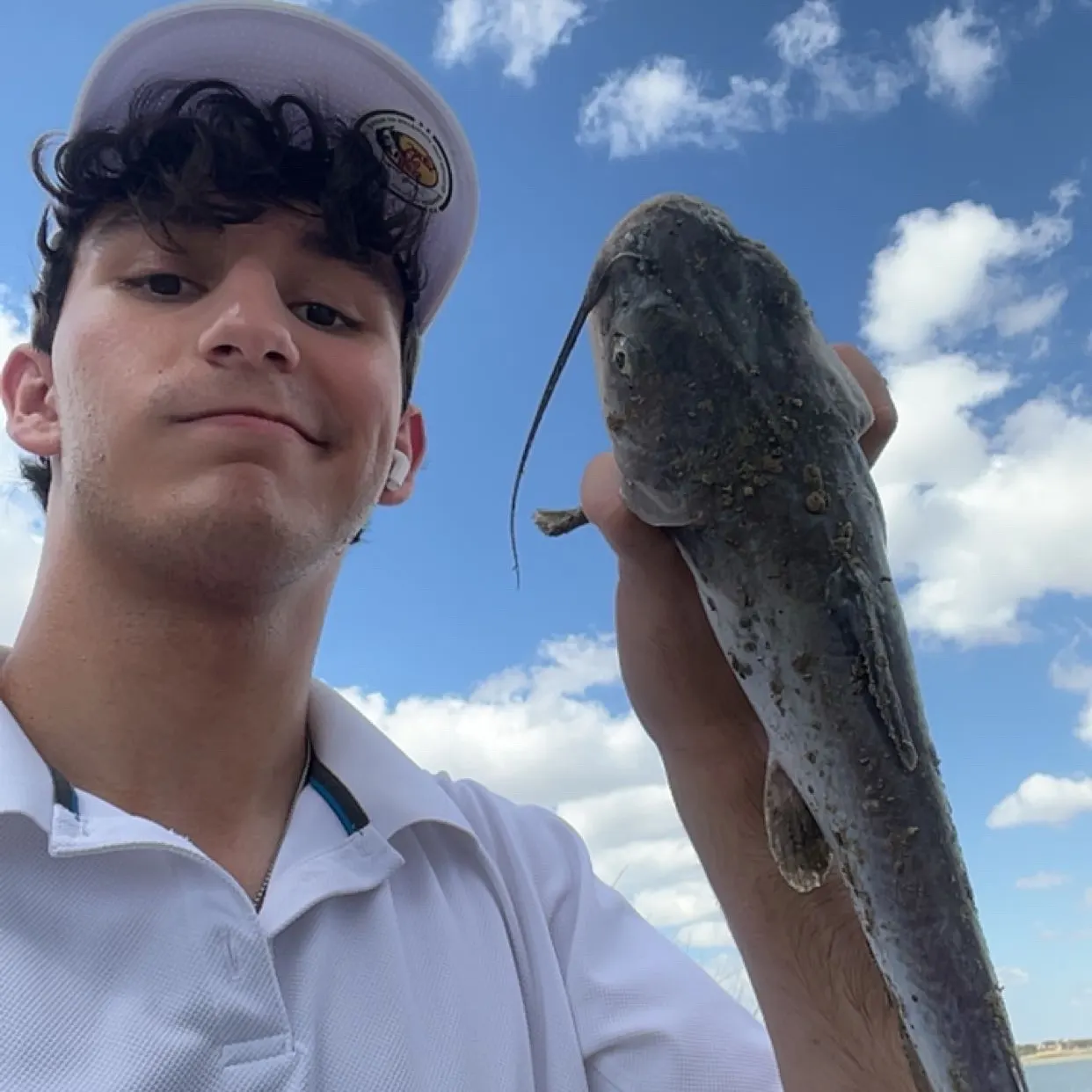 Channel catfish caught on Fishbrain