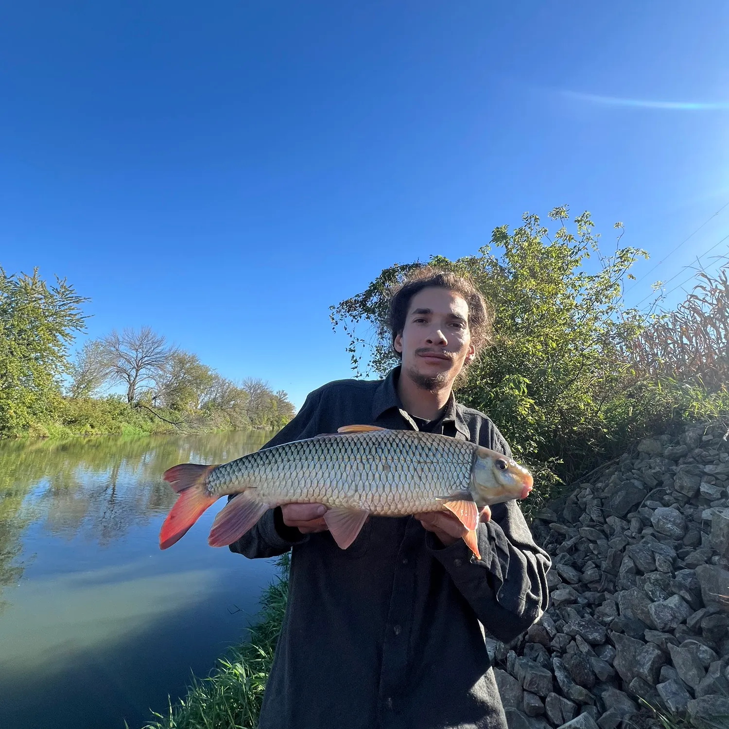 Shorthead redhorse caught on Fishbrain