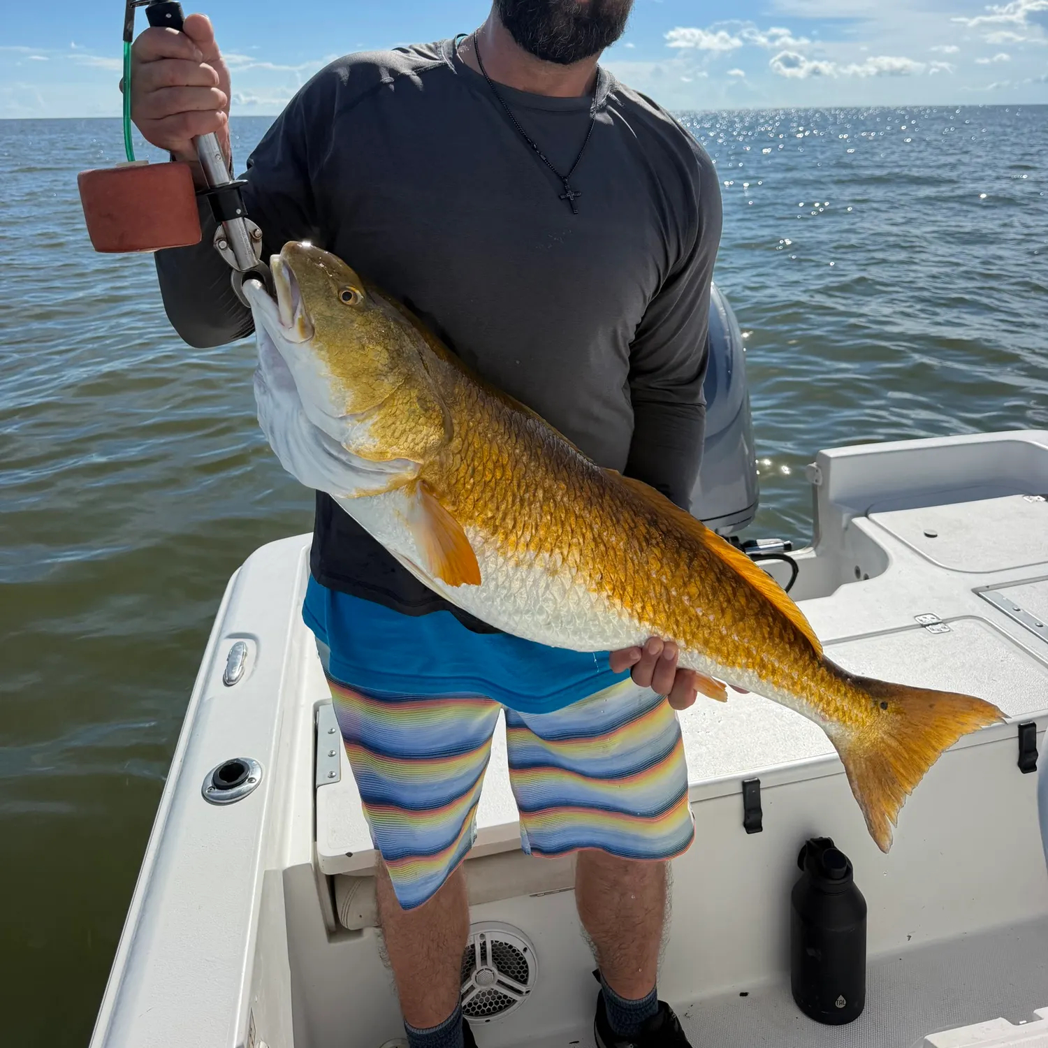 Red drum caught on Fishbrain