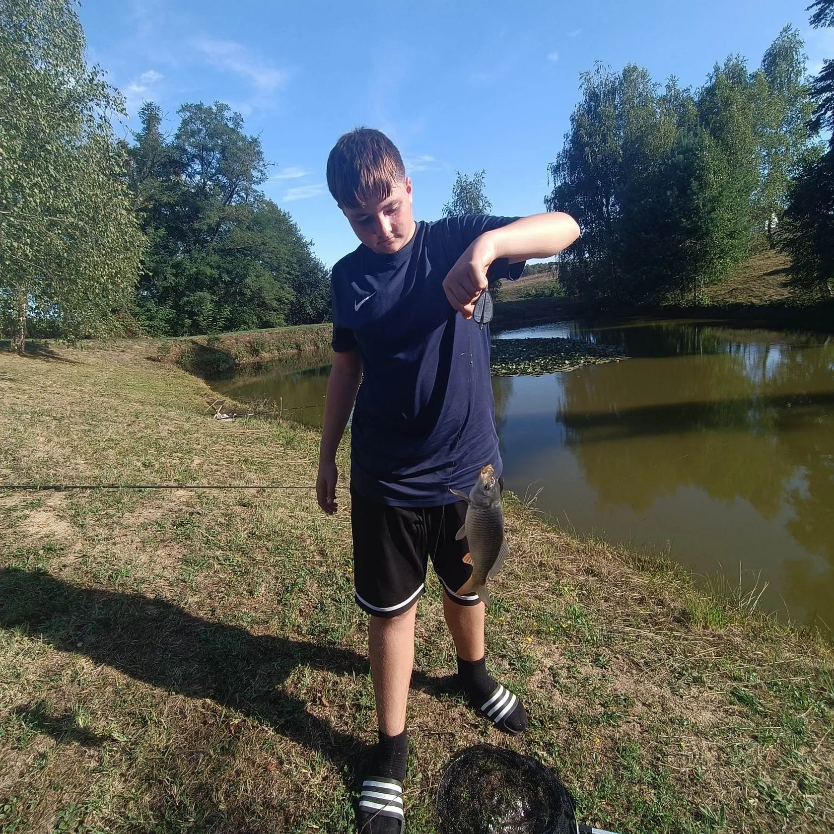Common carp caught on Fishbrain