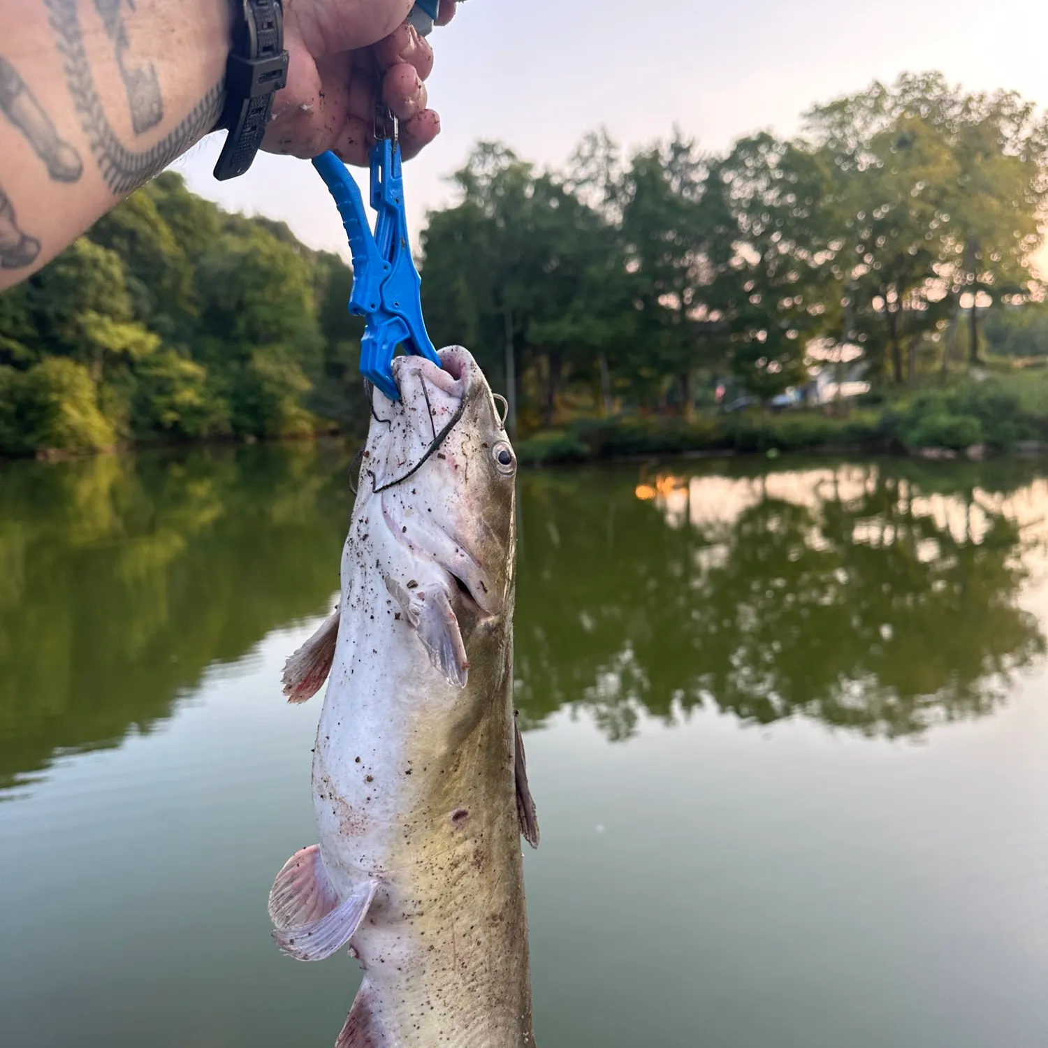 catch