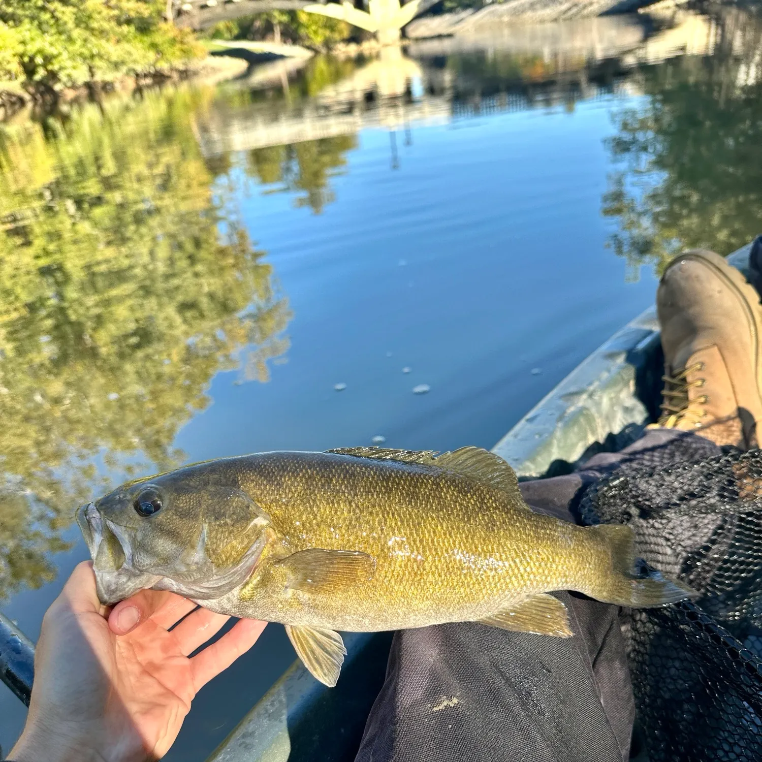 Smallmouth bass caught on Fishbrain