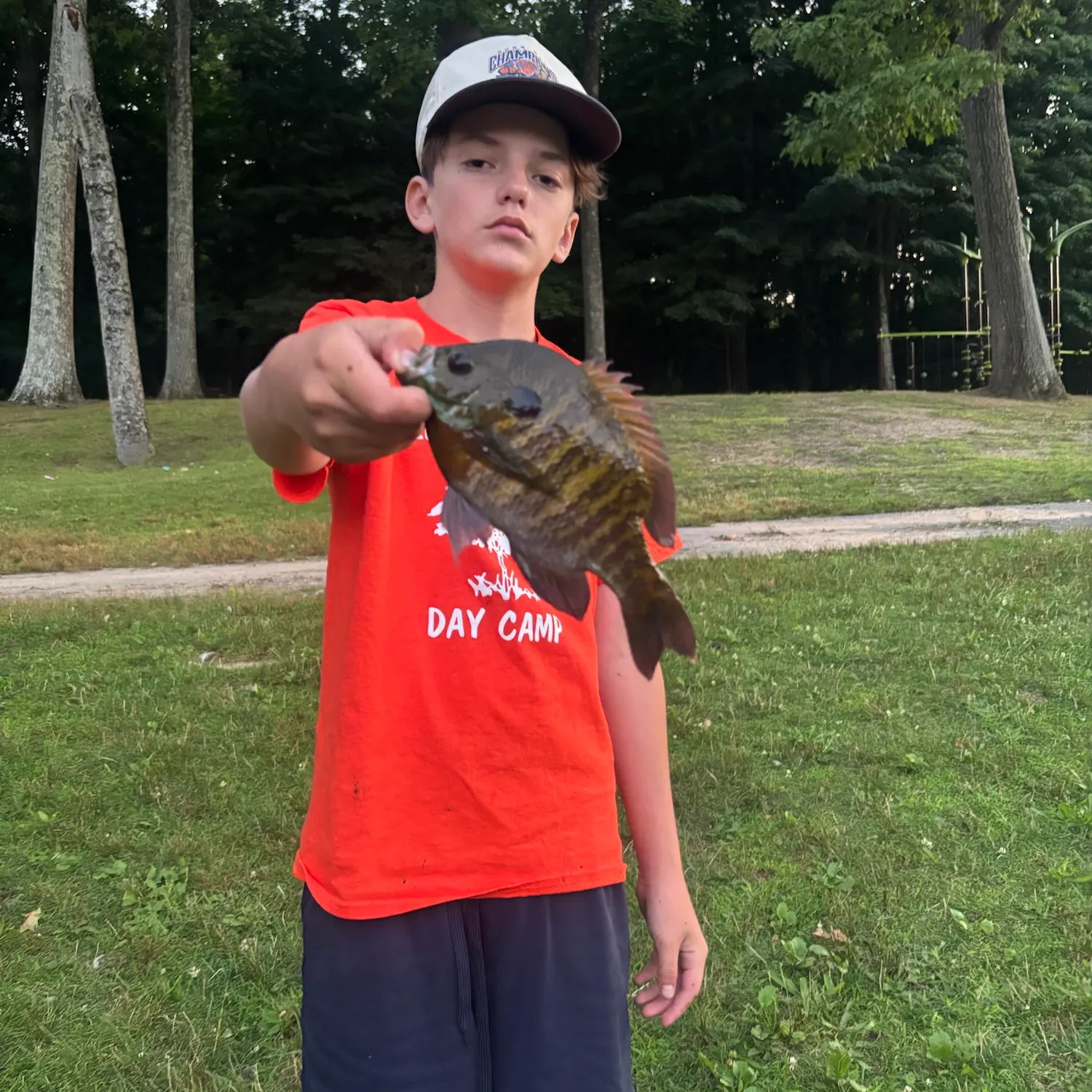 Coppernose bluegill caught on Fishbrain