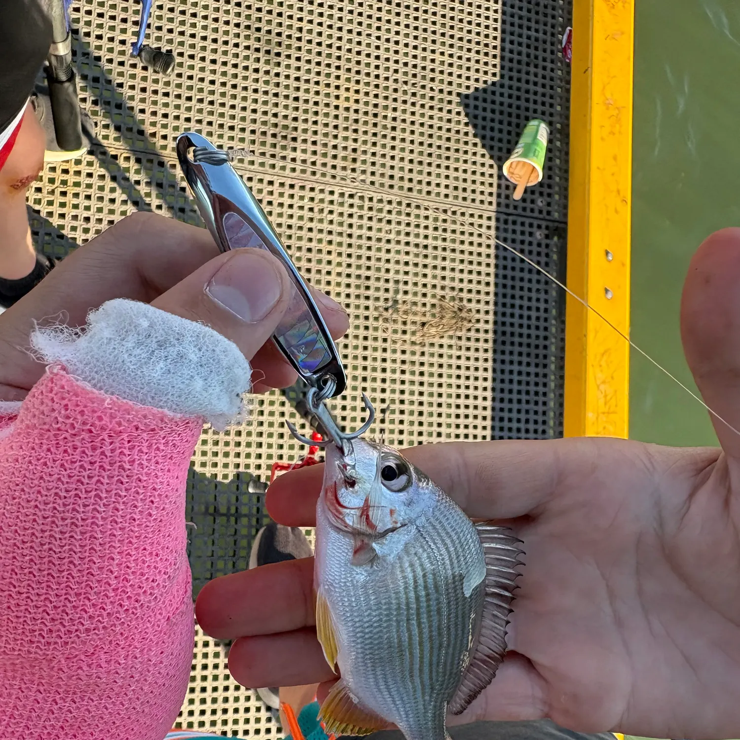 recently logged catches