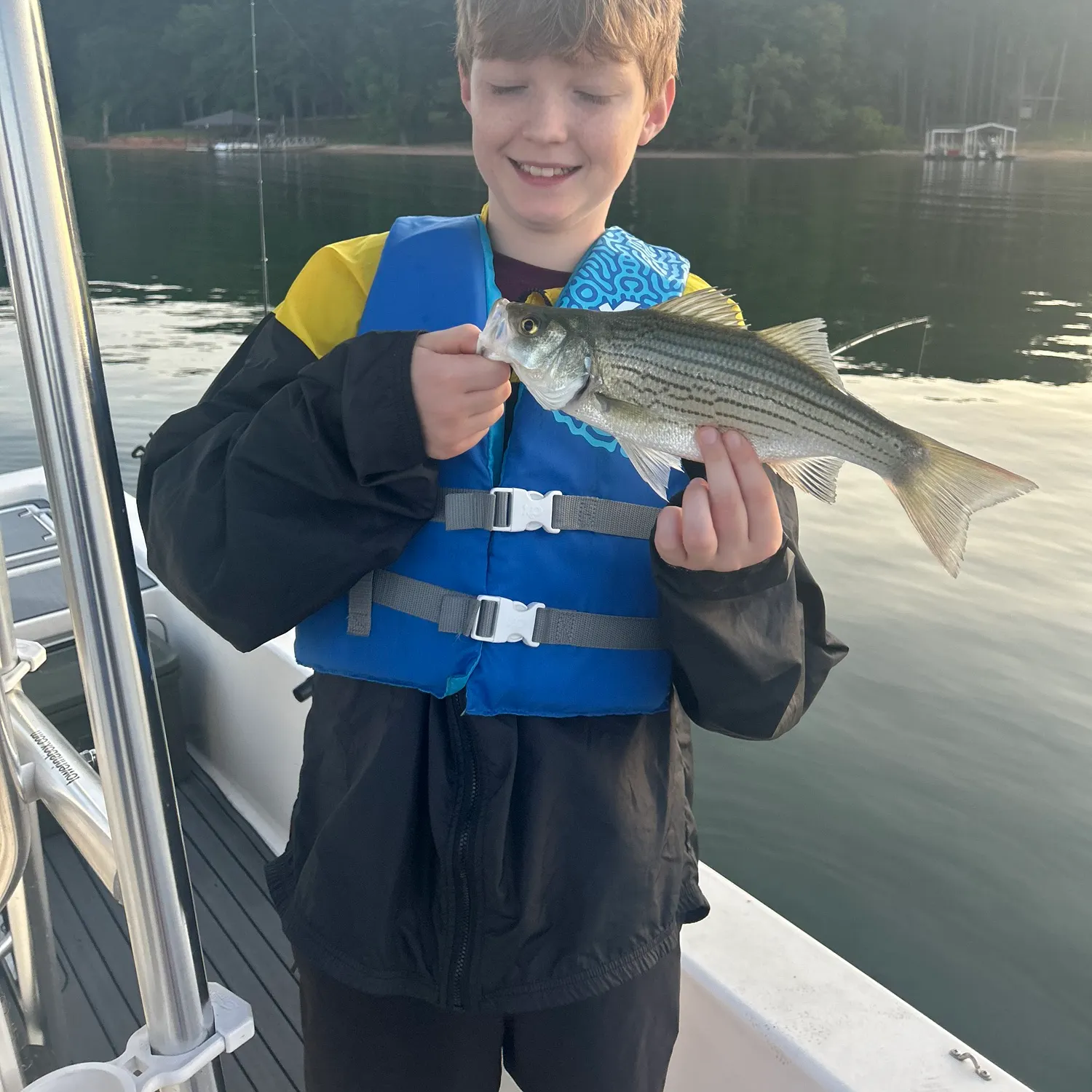 Striped bass caught on Fishbrain