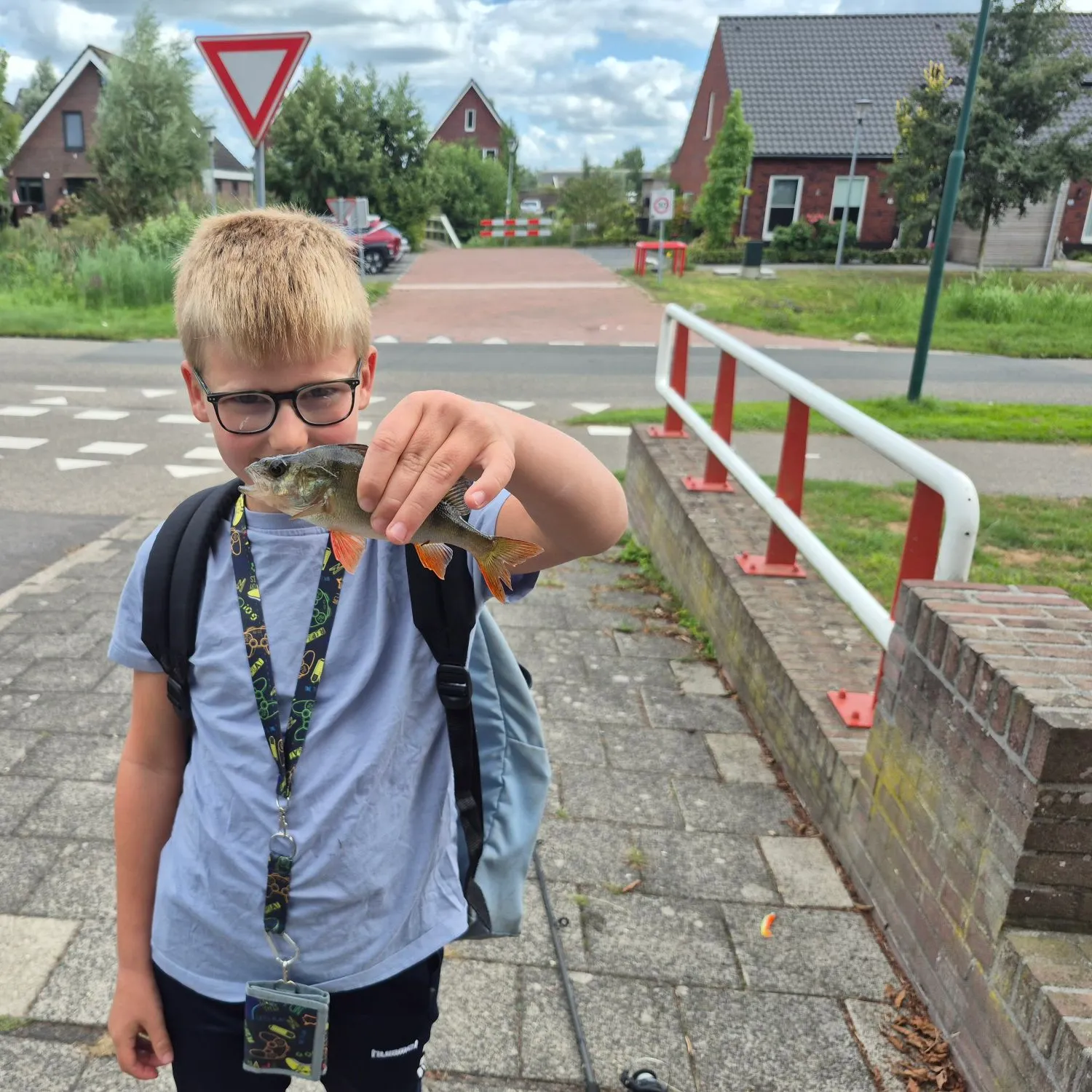 European perch caught on Fishbrain