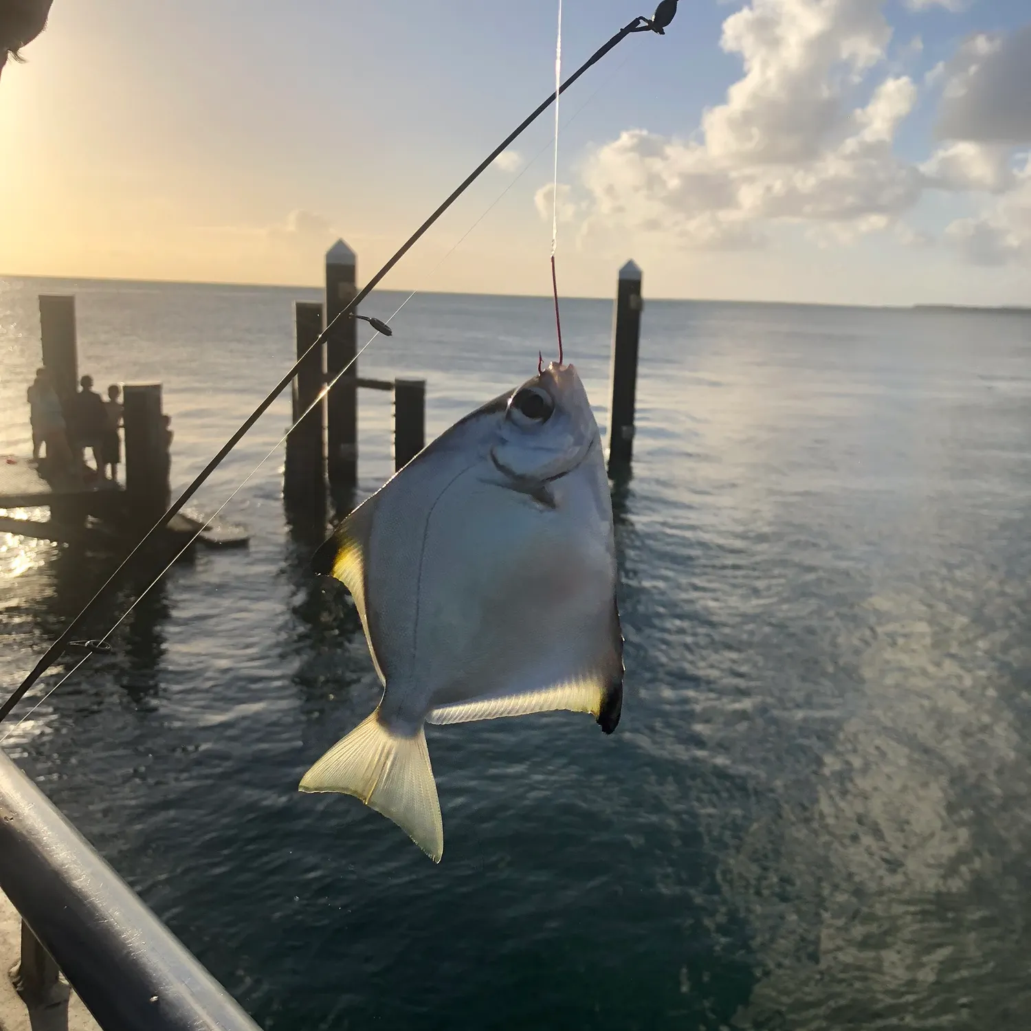 most liked catch image