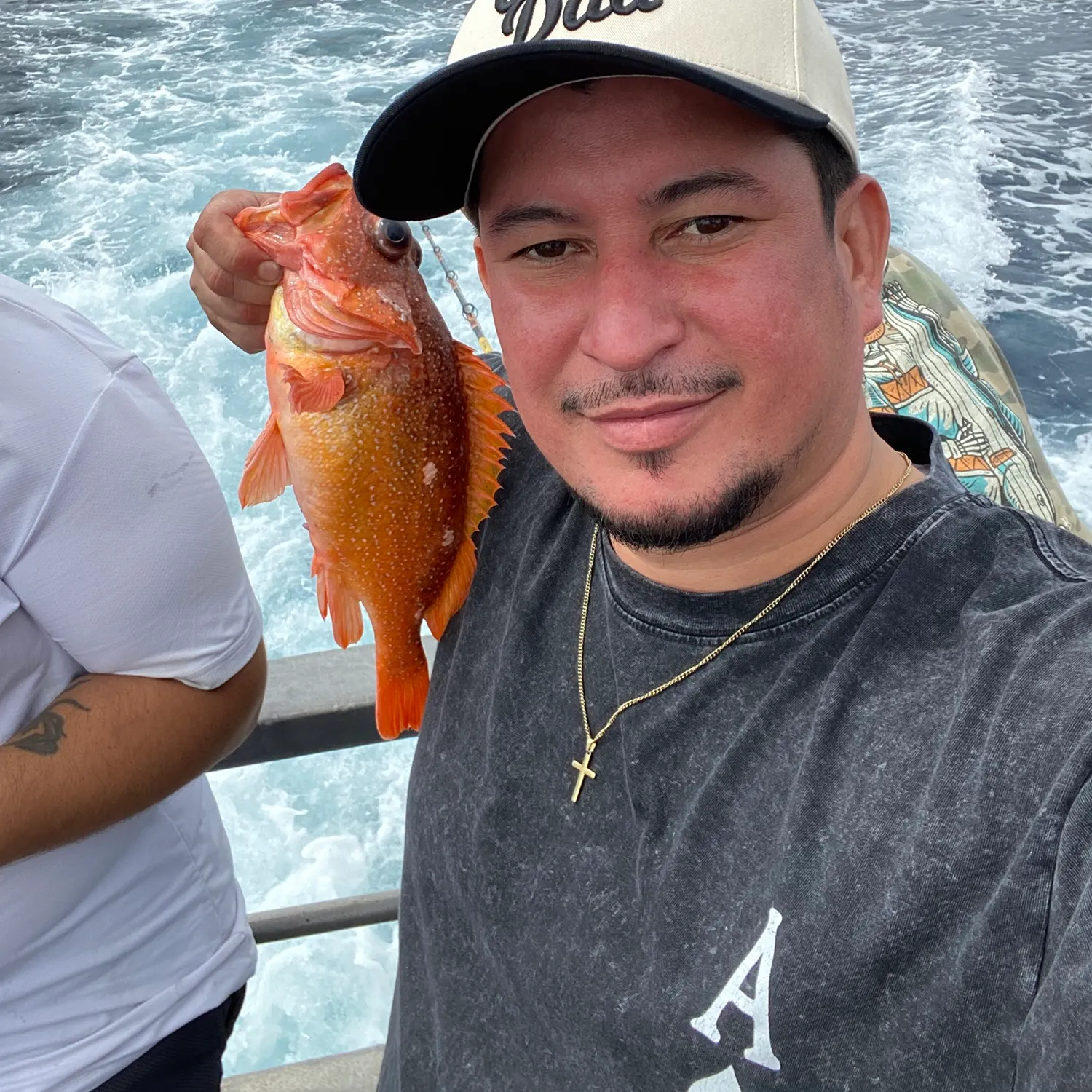 The most recent Vermilion rockfish catches on Fishbrain