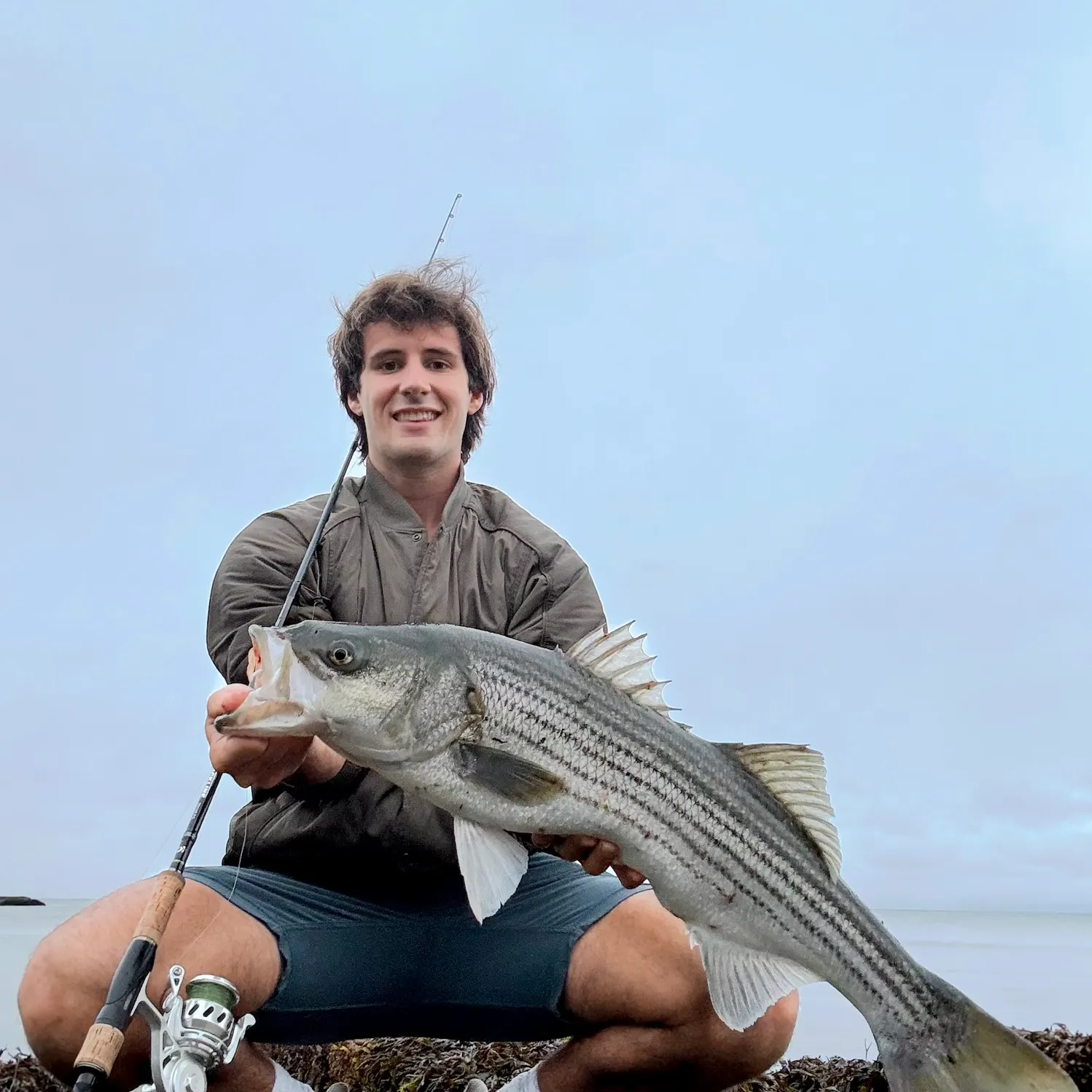 Striped bass caught on Fishbrain