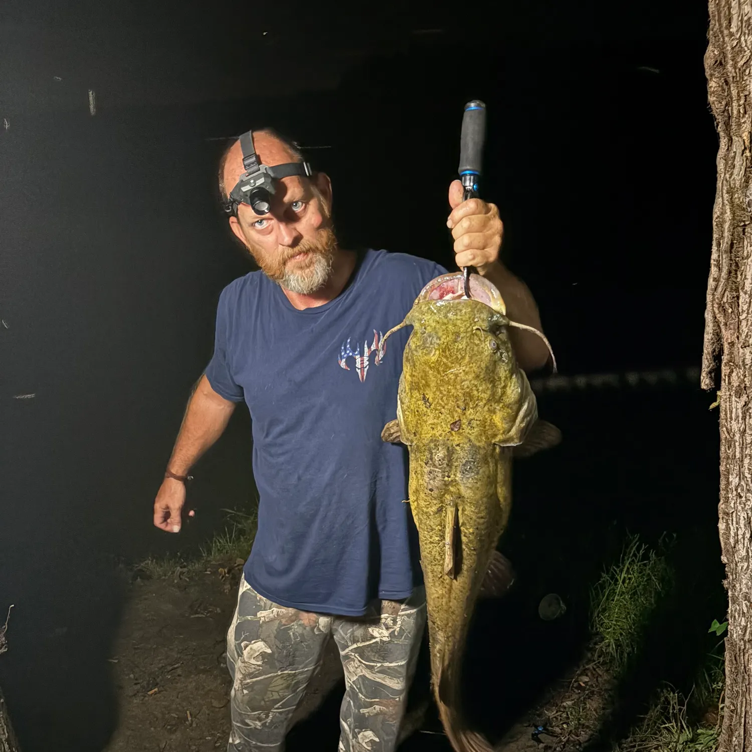The most recent Flathead catfish catches on Fishbrain
