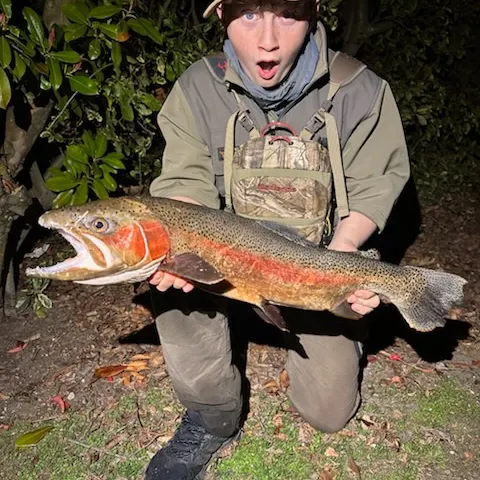 Rainbow trout caught on Fishbrain