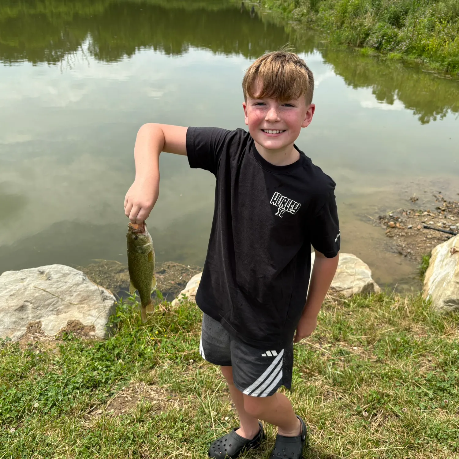 Largemouth bass caught on Fishbrain