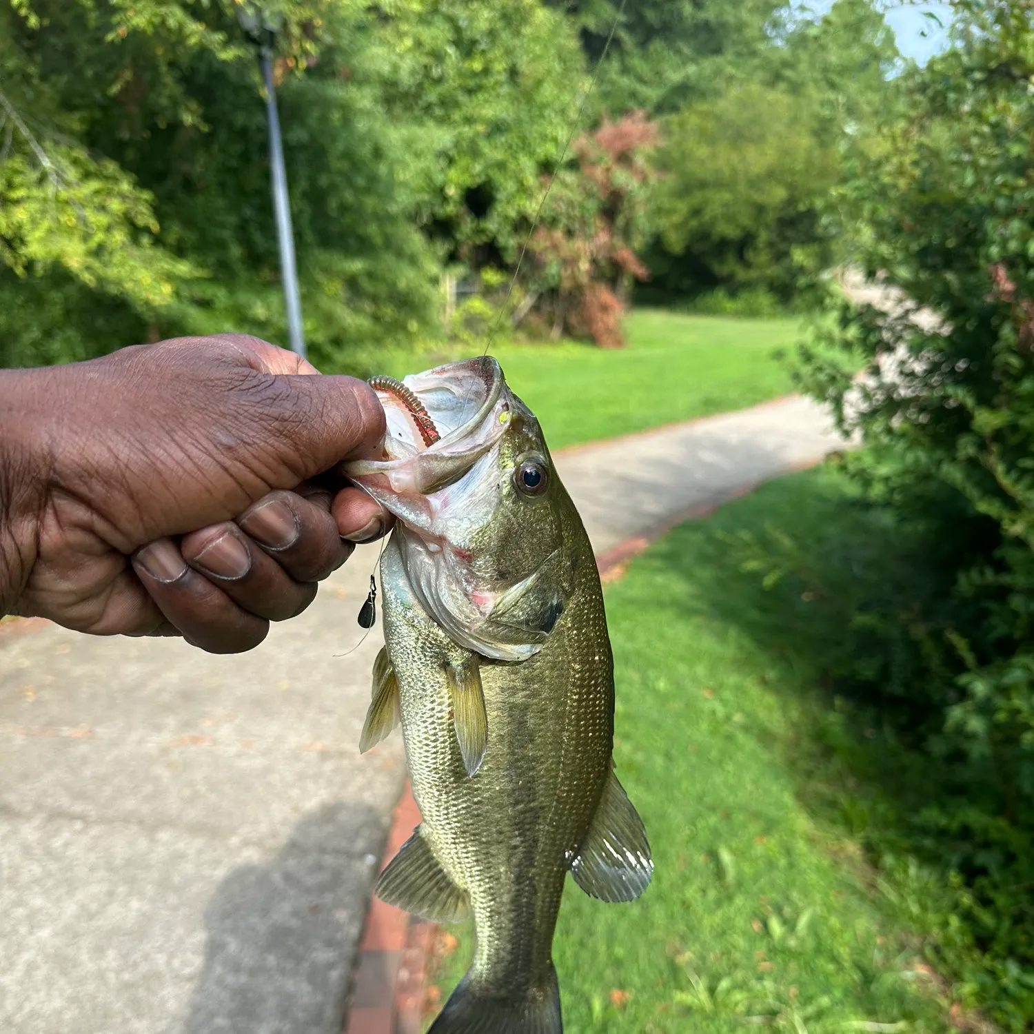 catch