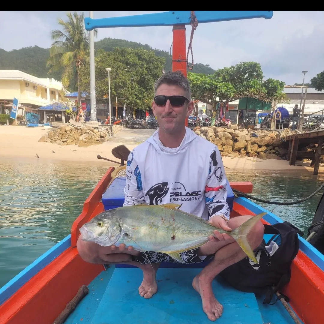 The most recent Golden trevally catches on Fishbrain