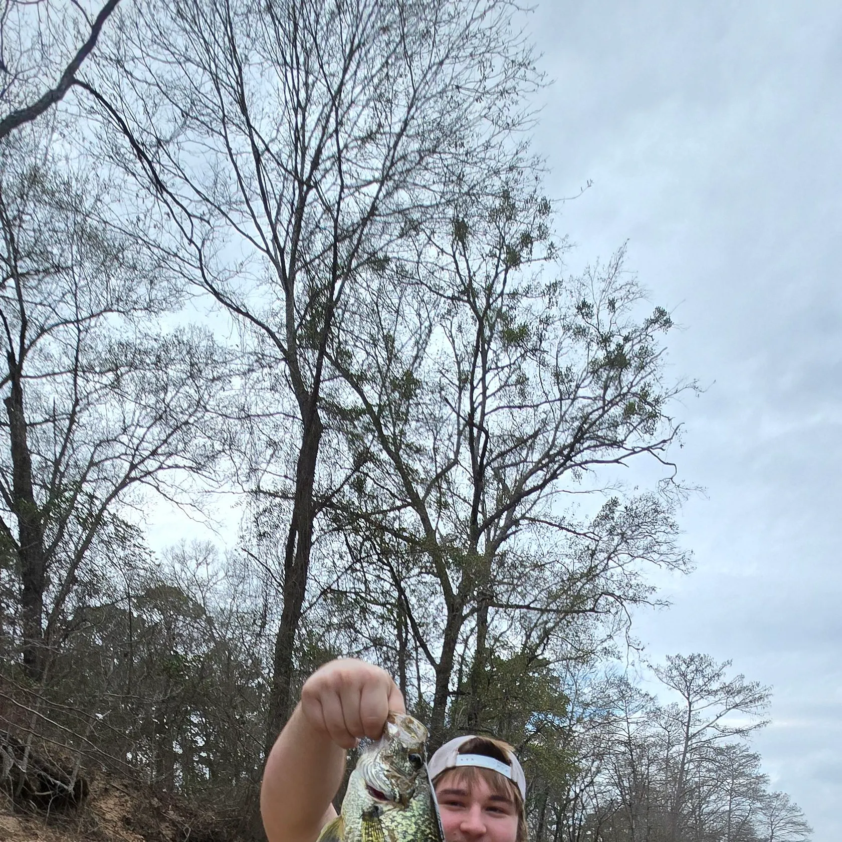 The most recent Black crappie catches on Fishbrain