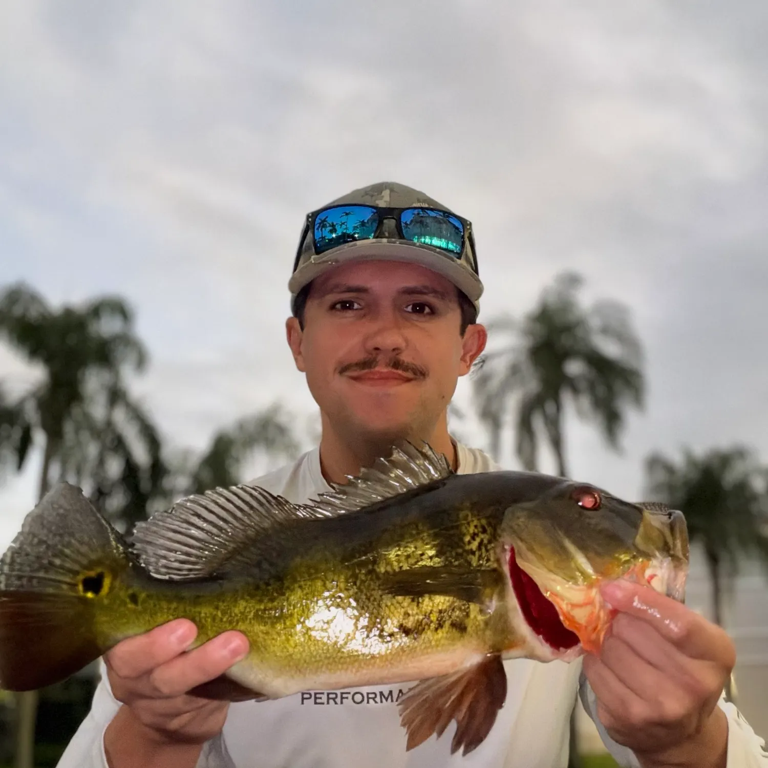 Butterfly peacock bass caught on Fishbrain