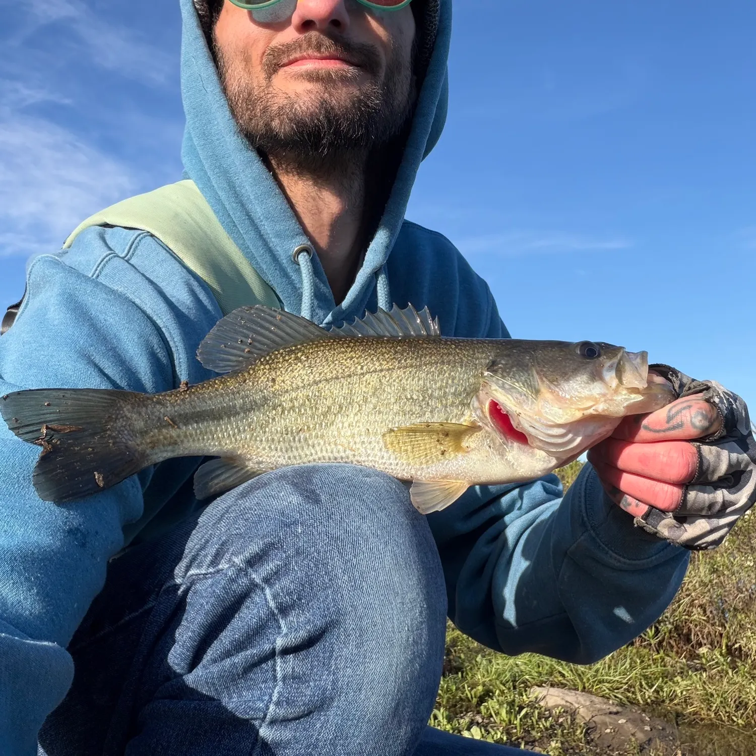 Largemouth bass caught on Fishbrain
