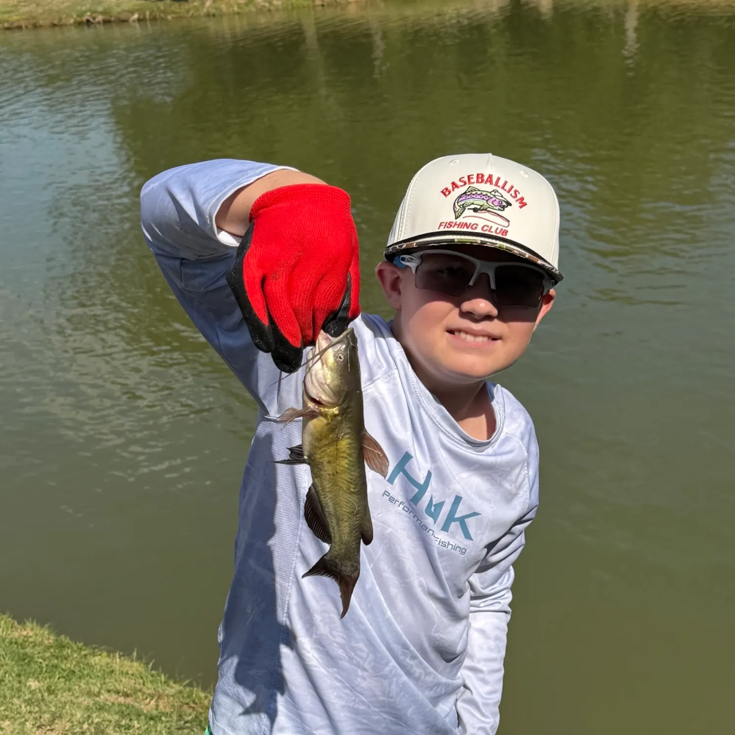 Yellow bullhead caught on Fishbrain
