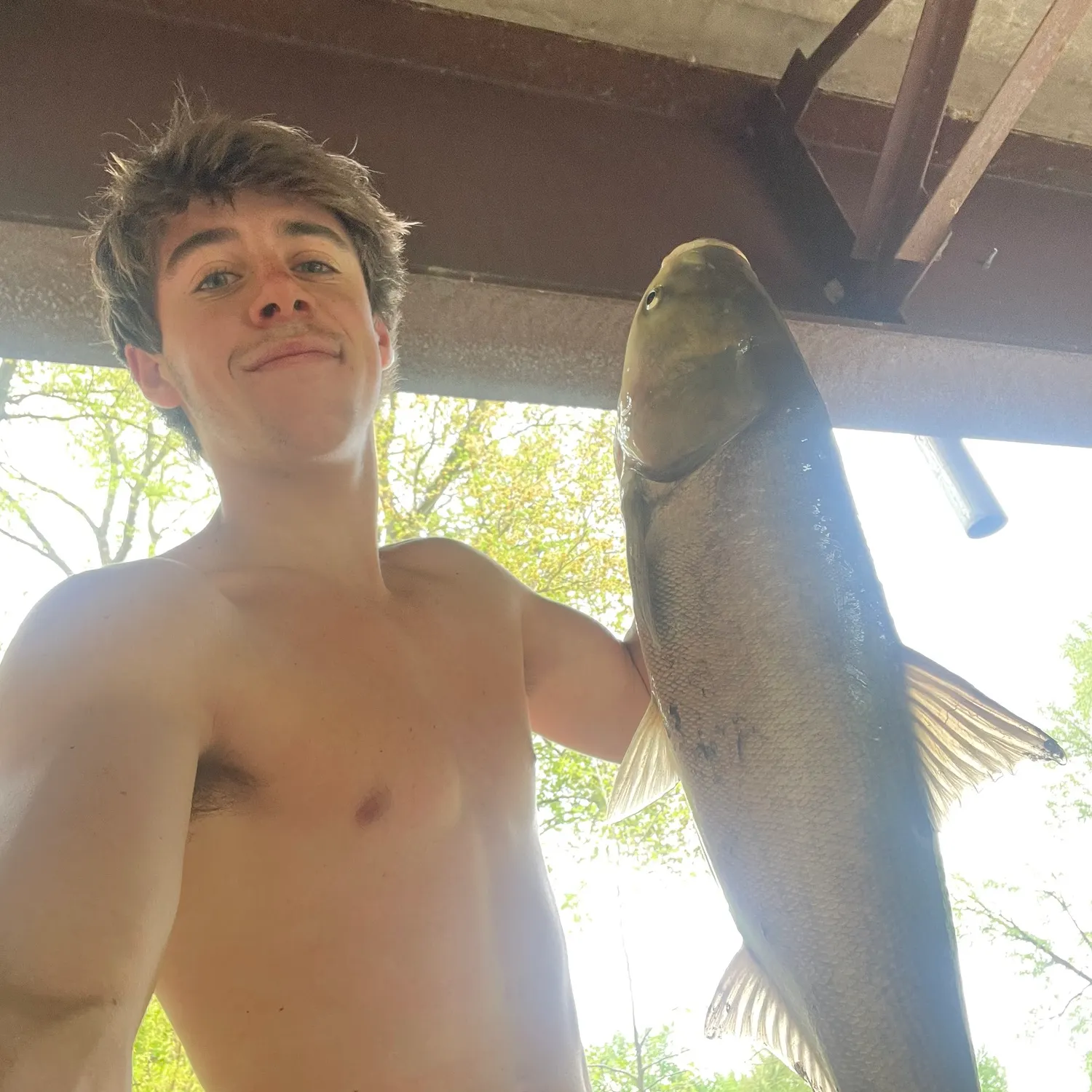 most liked catch image
