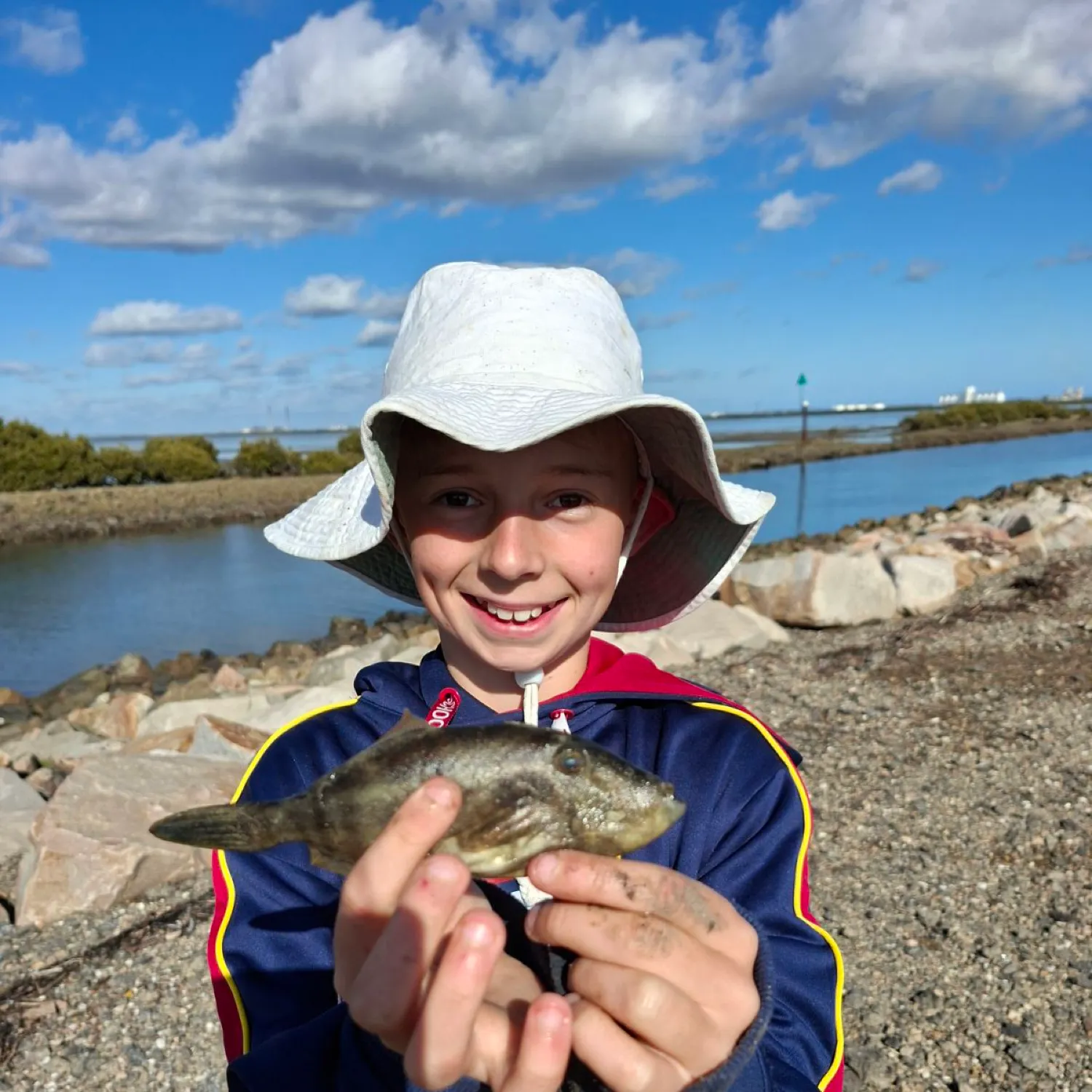 The most recent Horse-shoe leatherjacket catches on Fishbrain