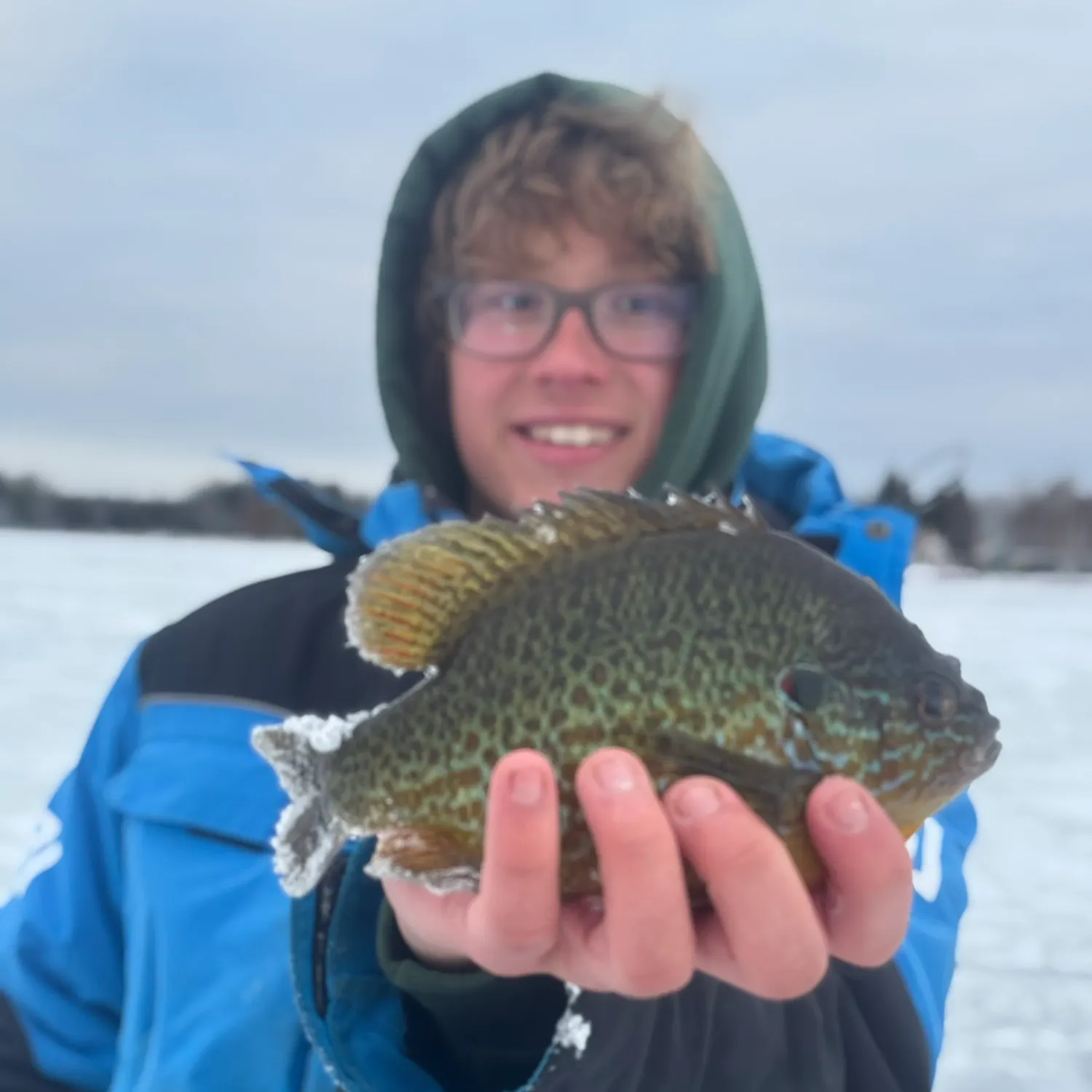 The most recent Pumpkinseed catches on Fishbrain