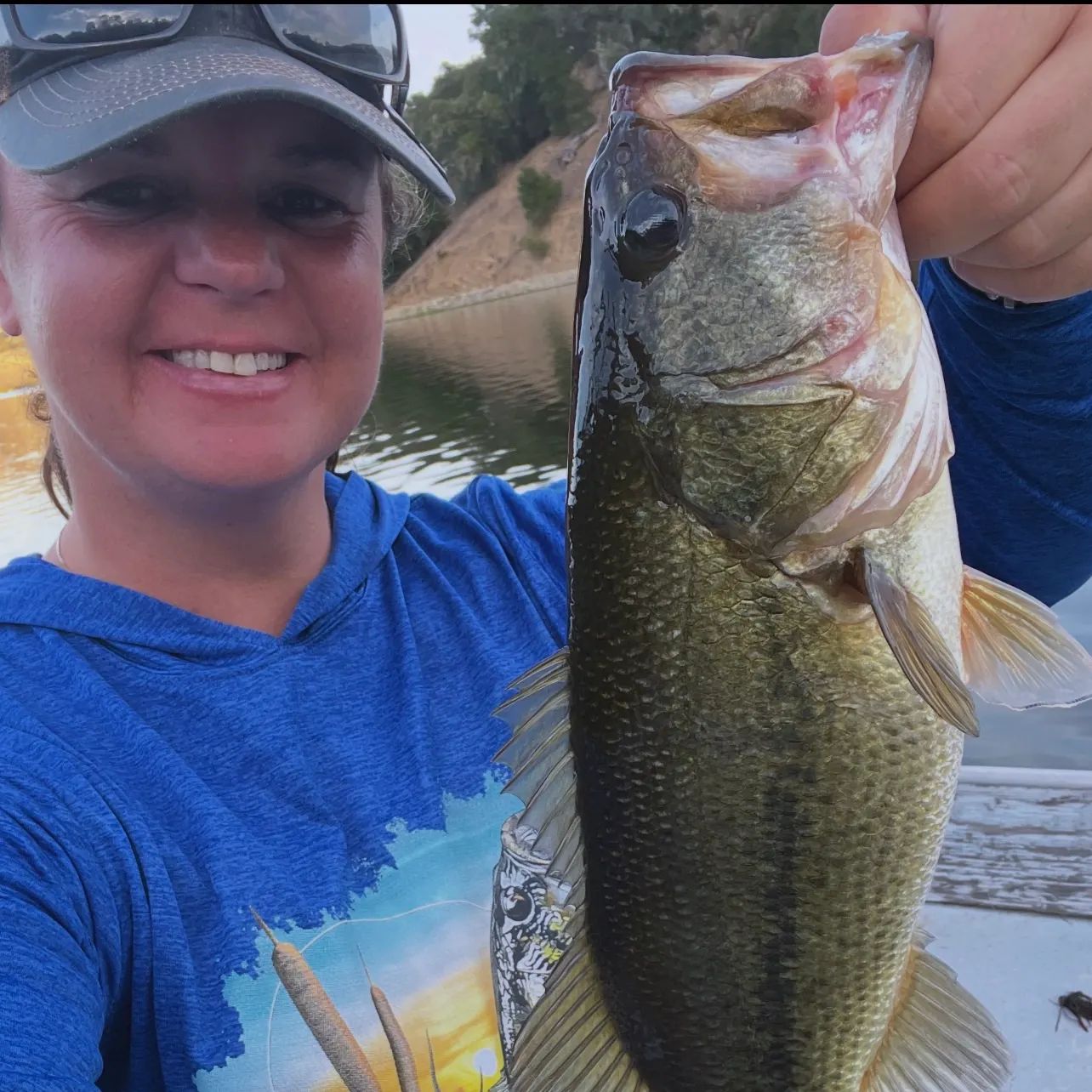 Largemouth bass caught on Fishbrain
