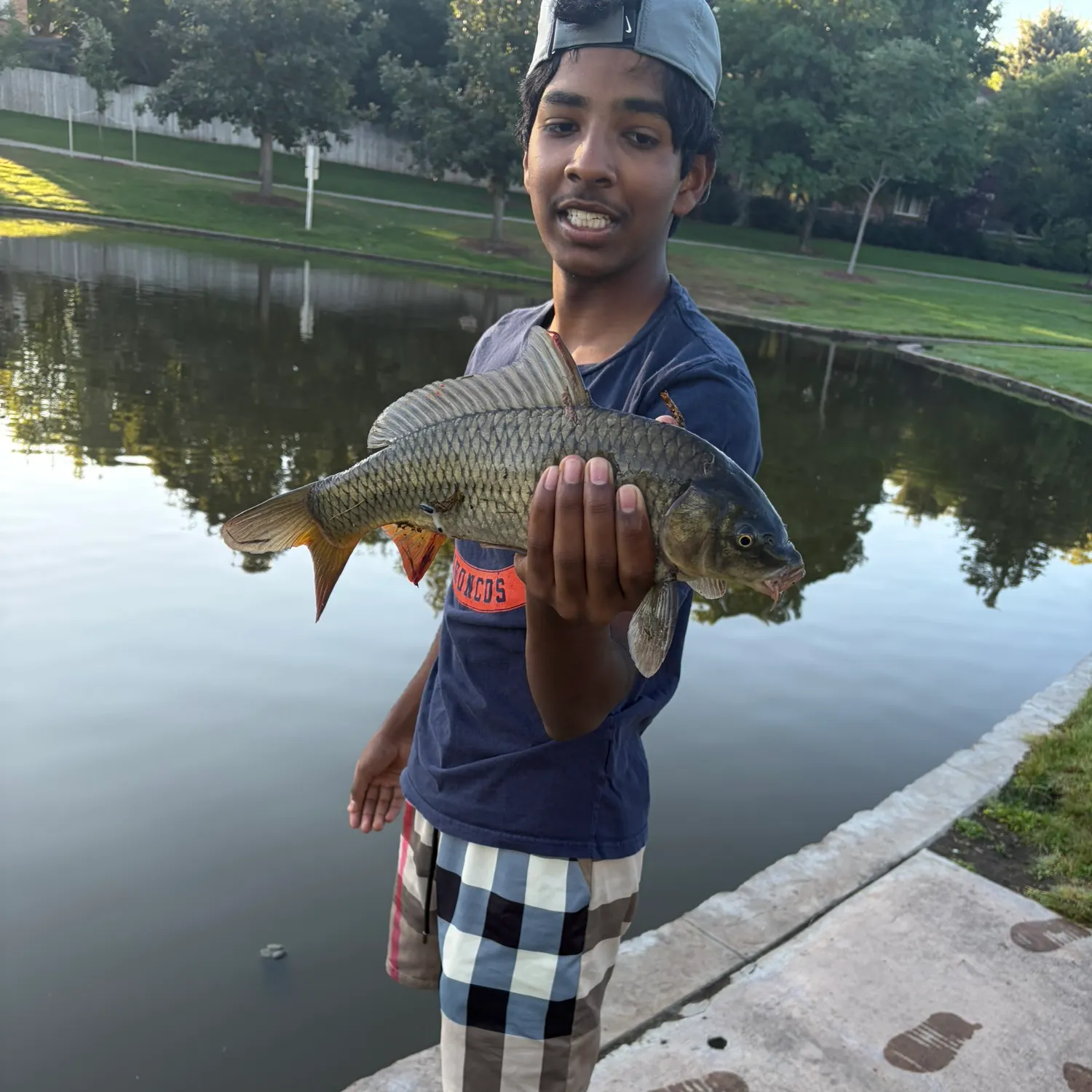 Common carp caught on Fishbrain
