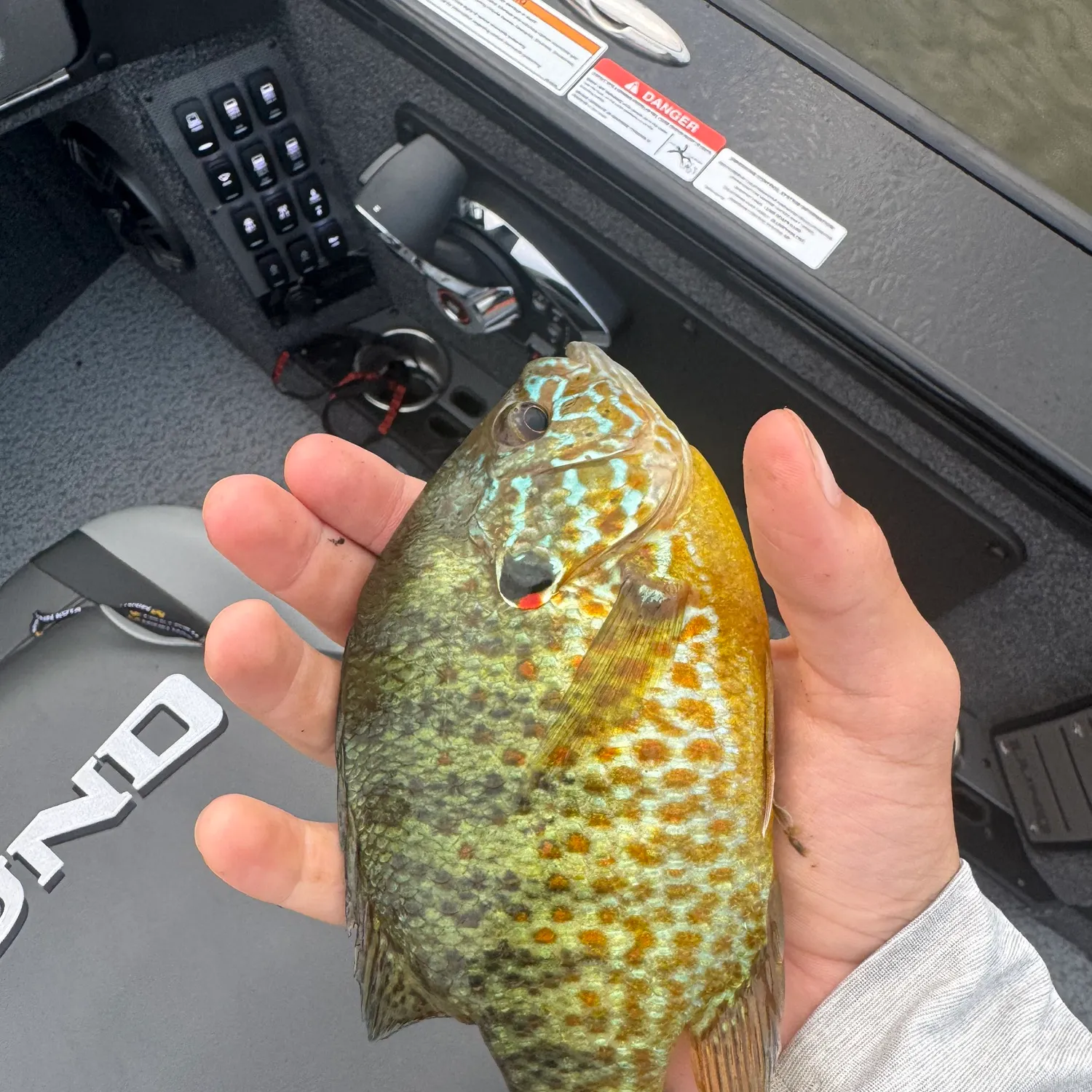 Pumpkinseed caught on Fishbrain