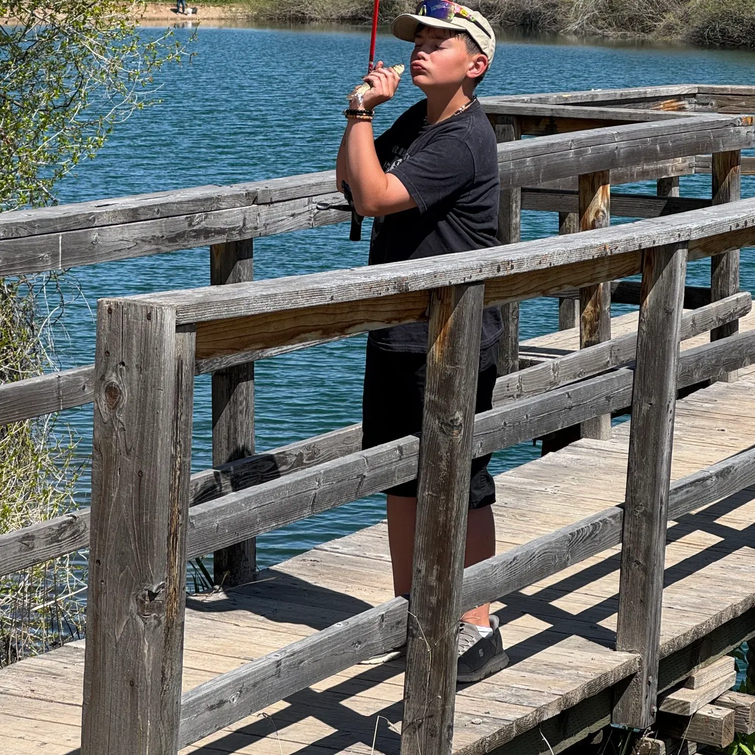 The most recent Tui chub catches on Fishbrain