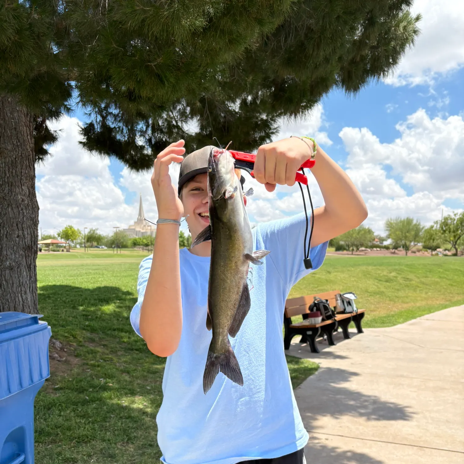 catch
