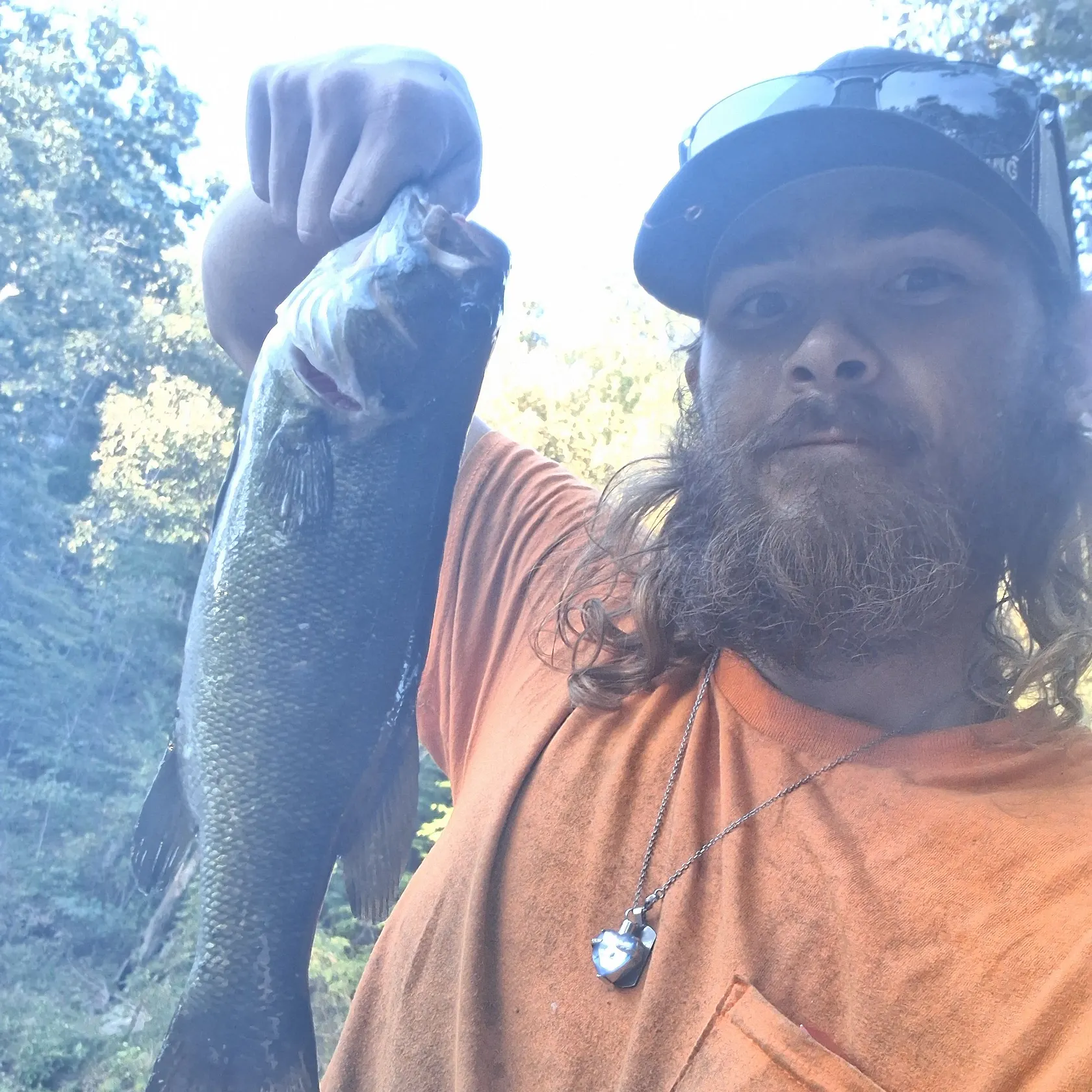 Smallmouth bass caught on Fishbrain