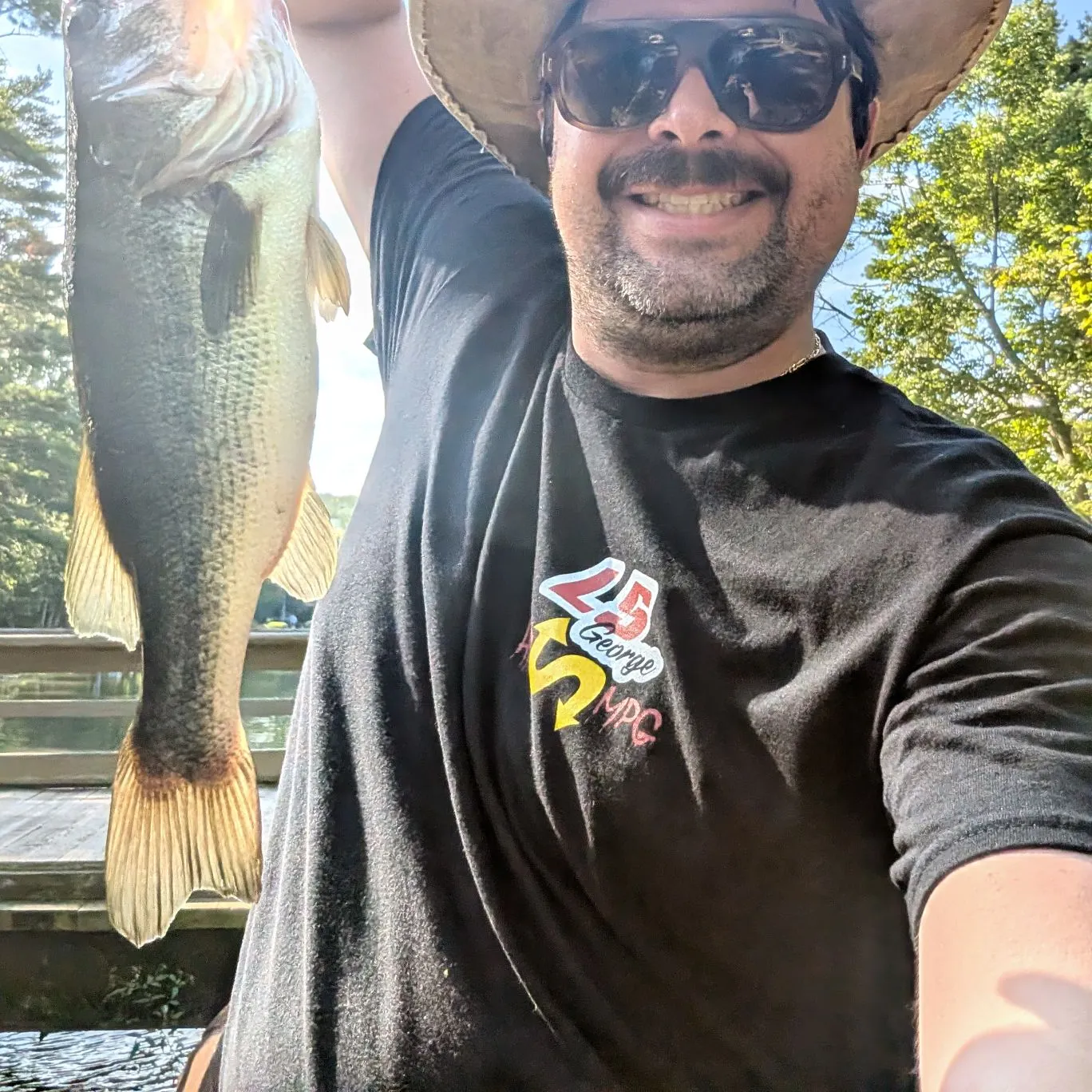Largemouth bass caught on Fishbrain