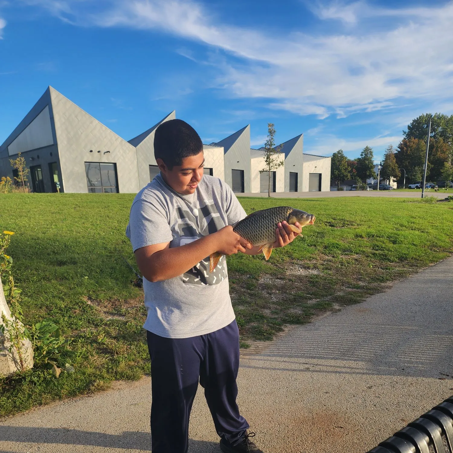 Common carp caught on Fishbrain
