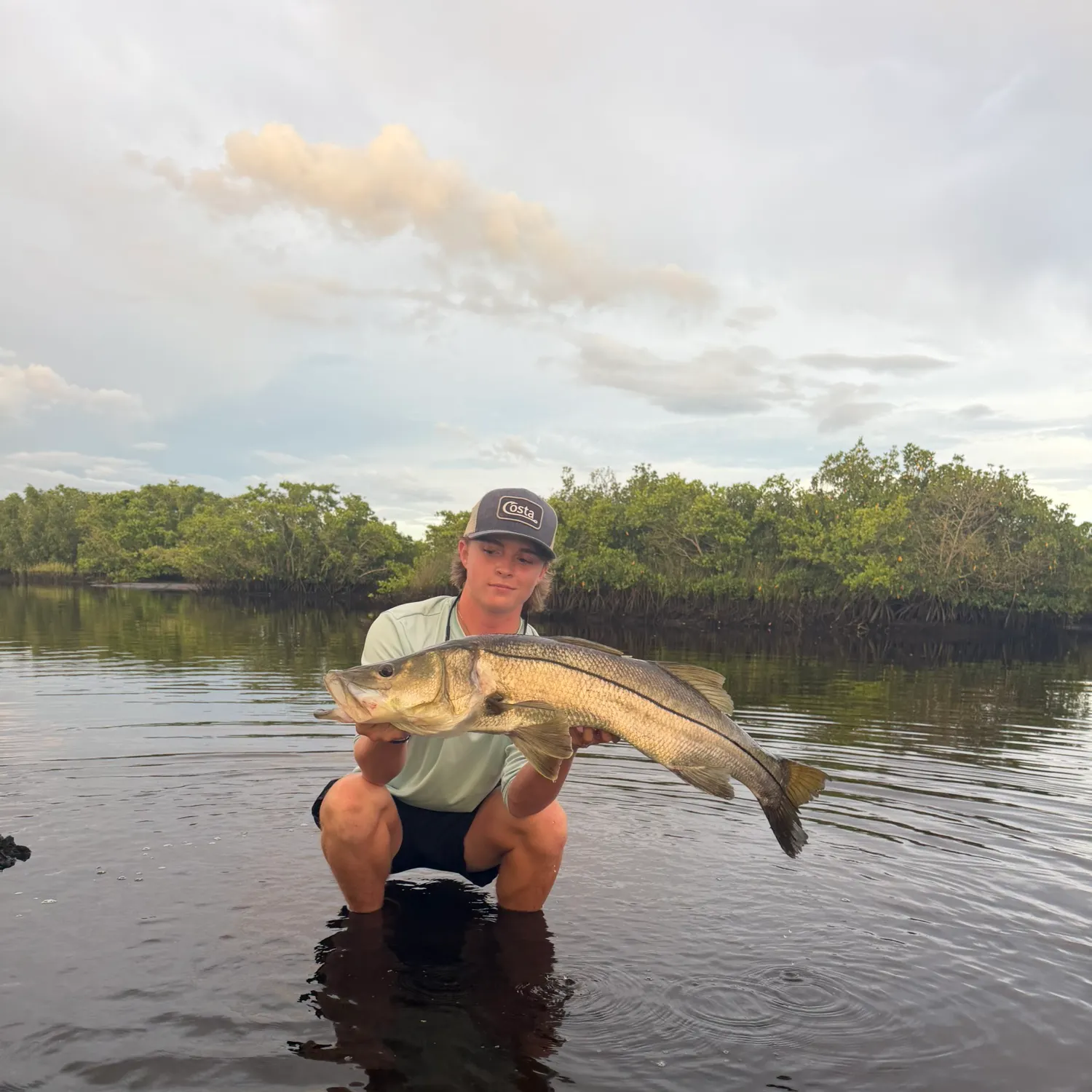 Common snook caught on Fishbrain