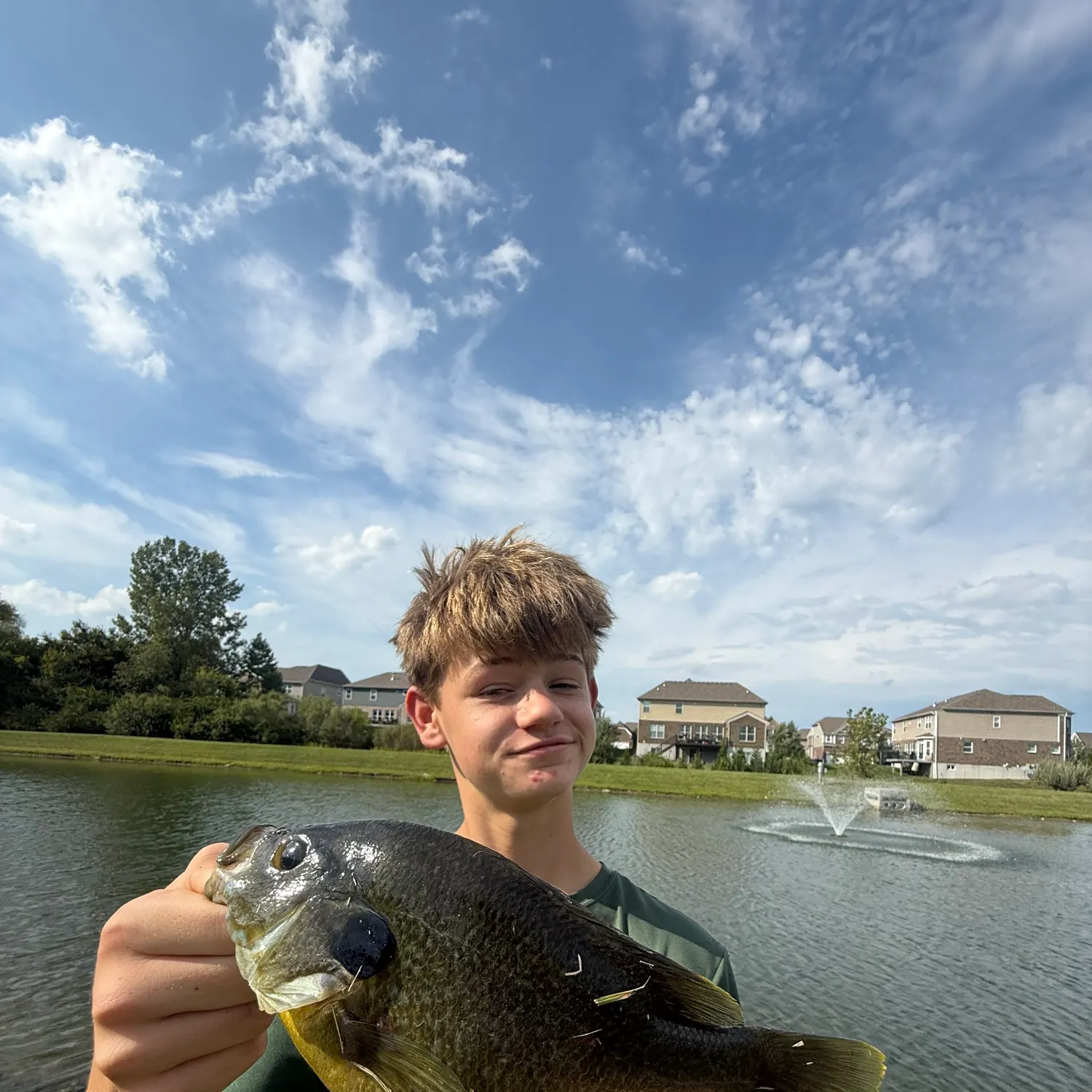 Greengill hybrid caught on Fishbrain