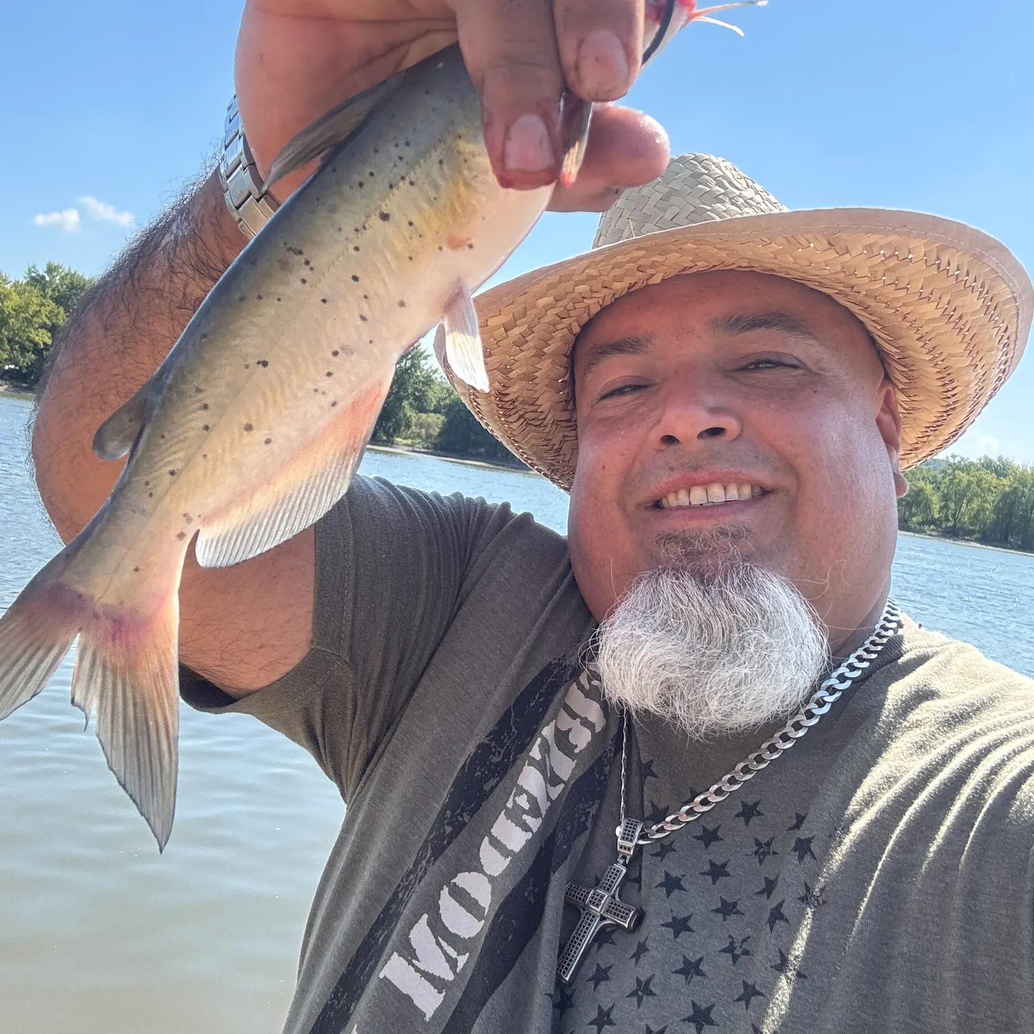 Channel catfish caught on Fishbrain