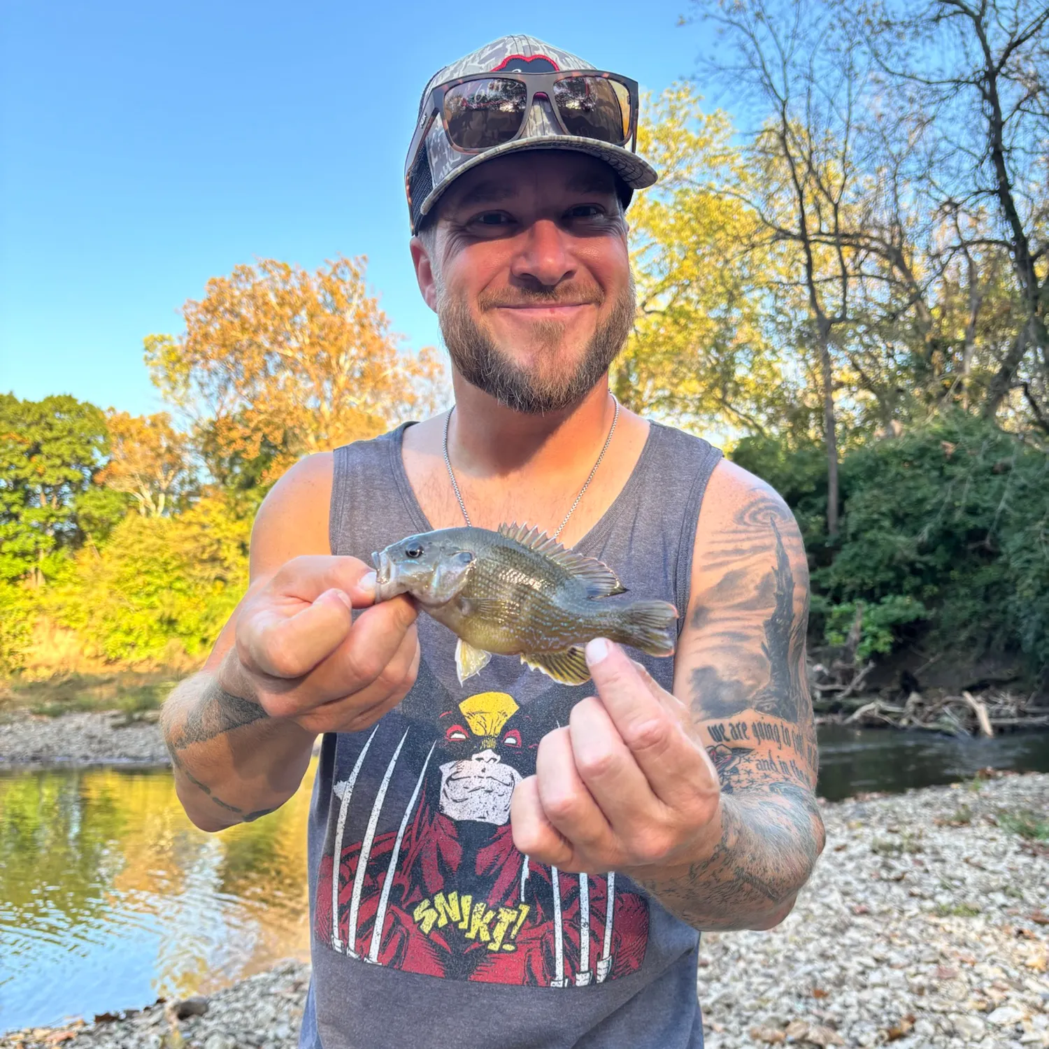 Green sunfish caught on Fishbrain