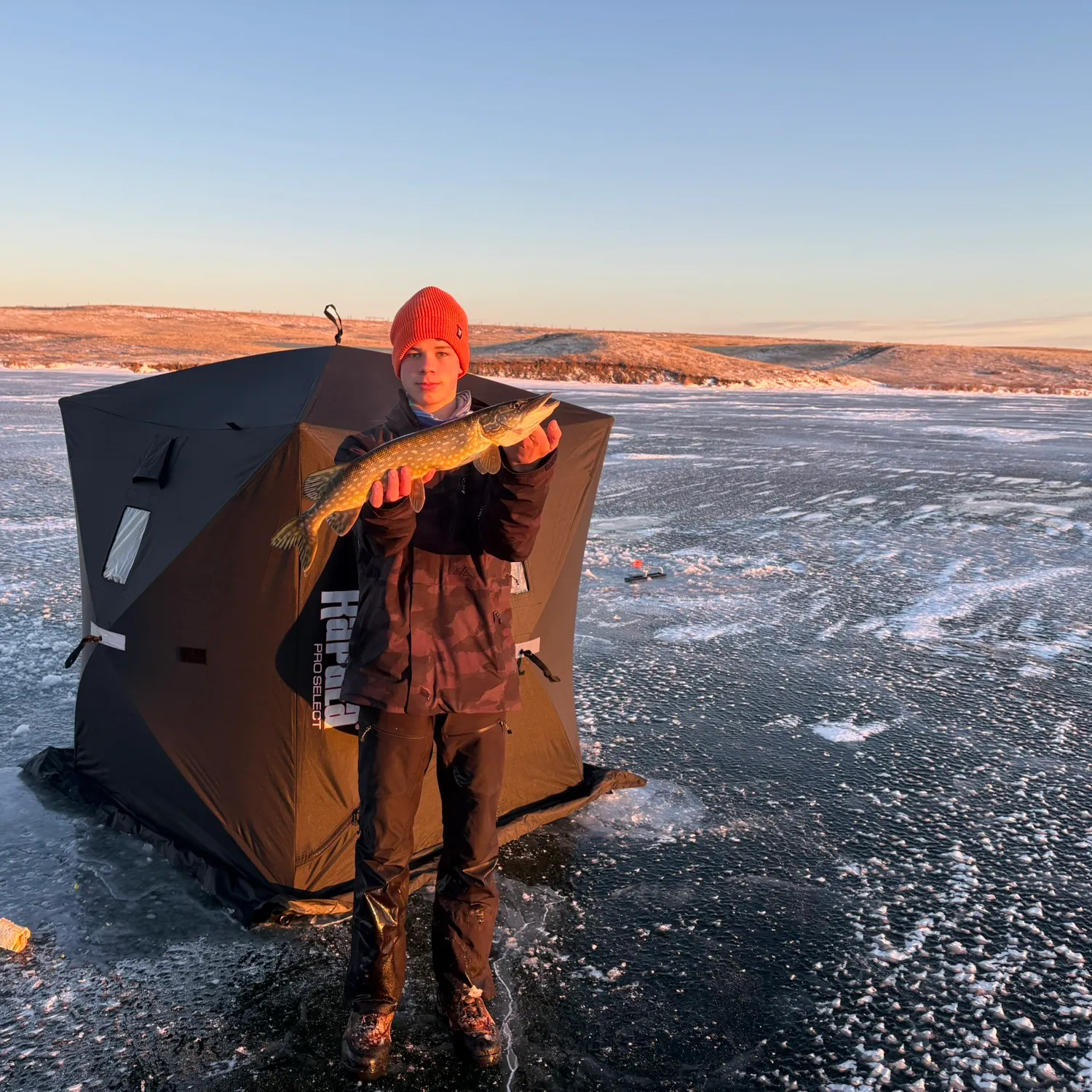 The most recent Northern pike catches on Fishbrain