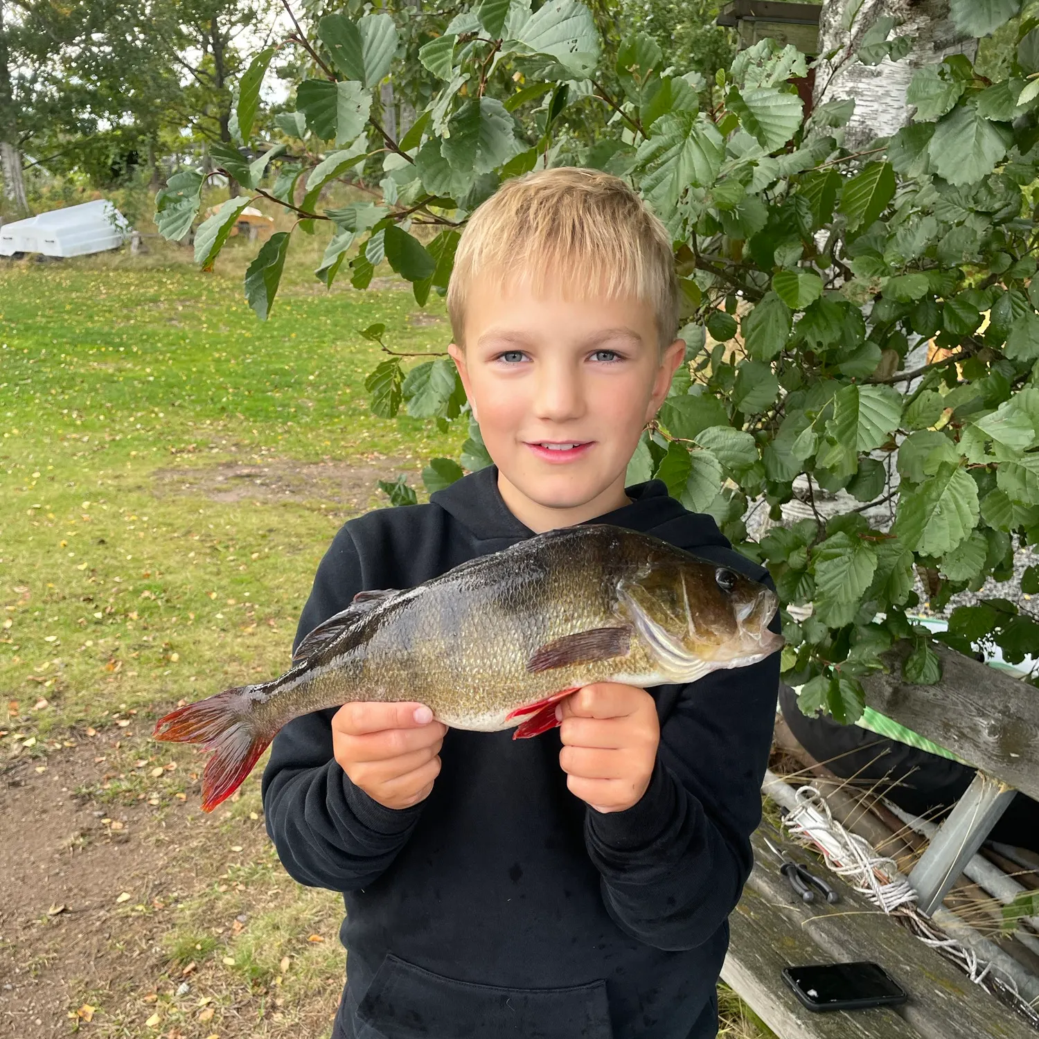 European perch caught on Fishbrain