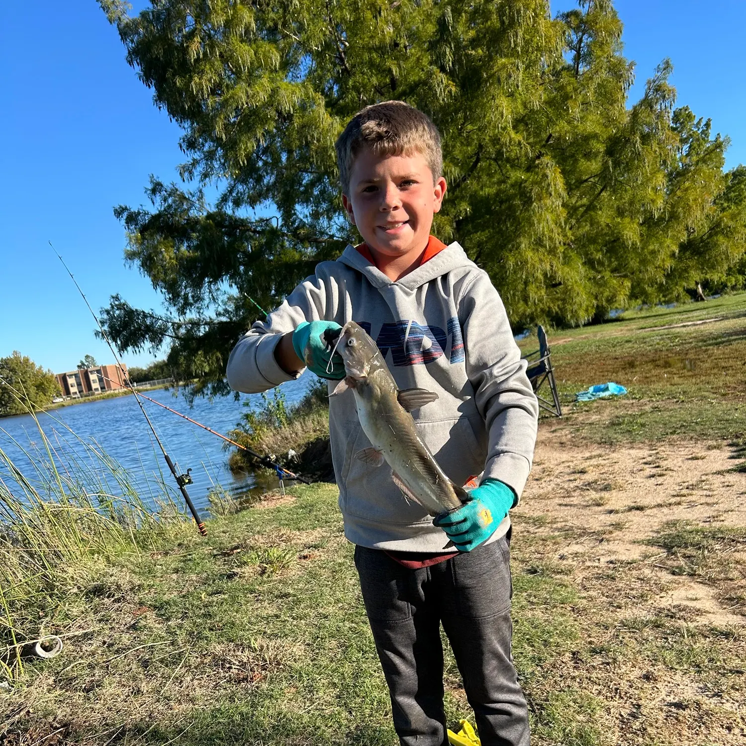 Channel catfish caught on Fishbrain