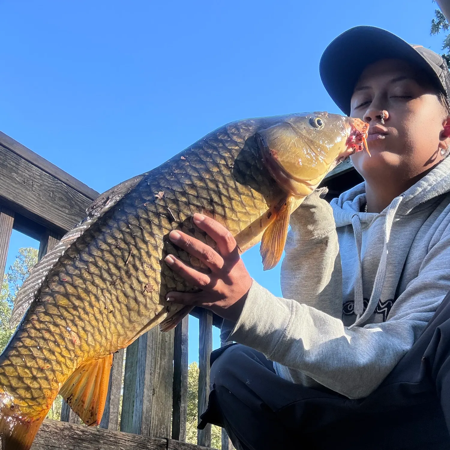 Common carp caught on Fishbrain