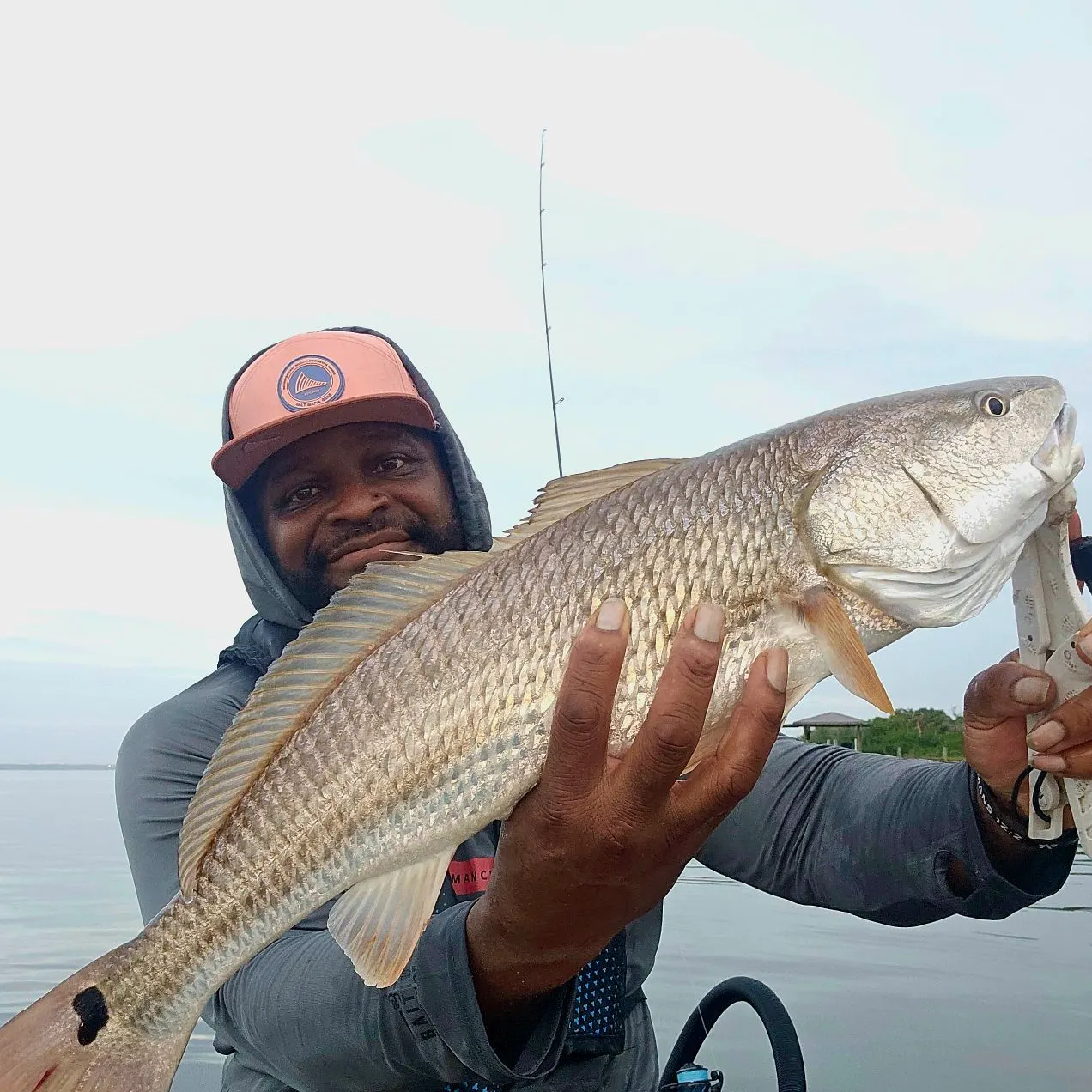 Red drum caught on Fishbrain