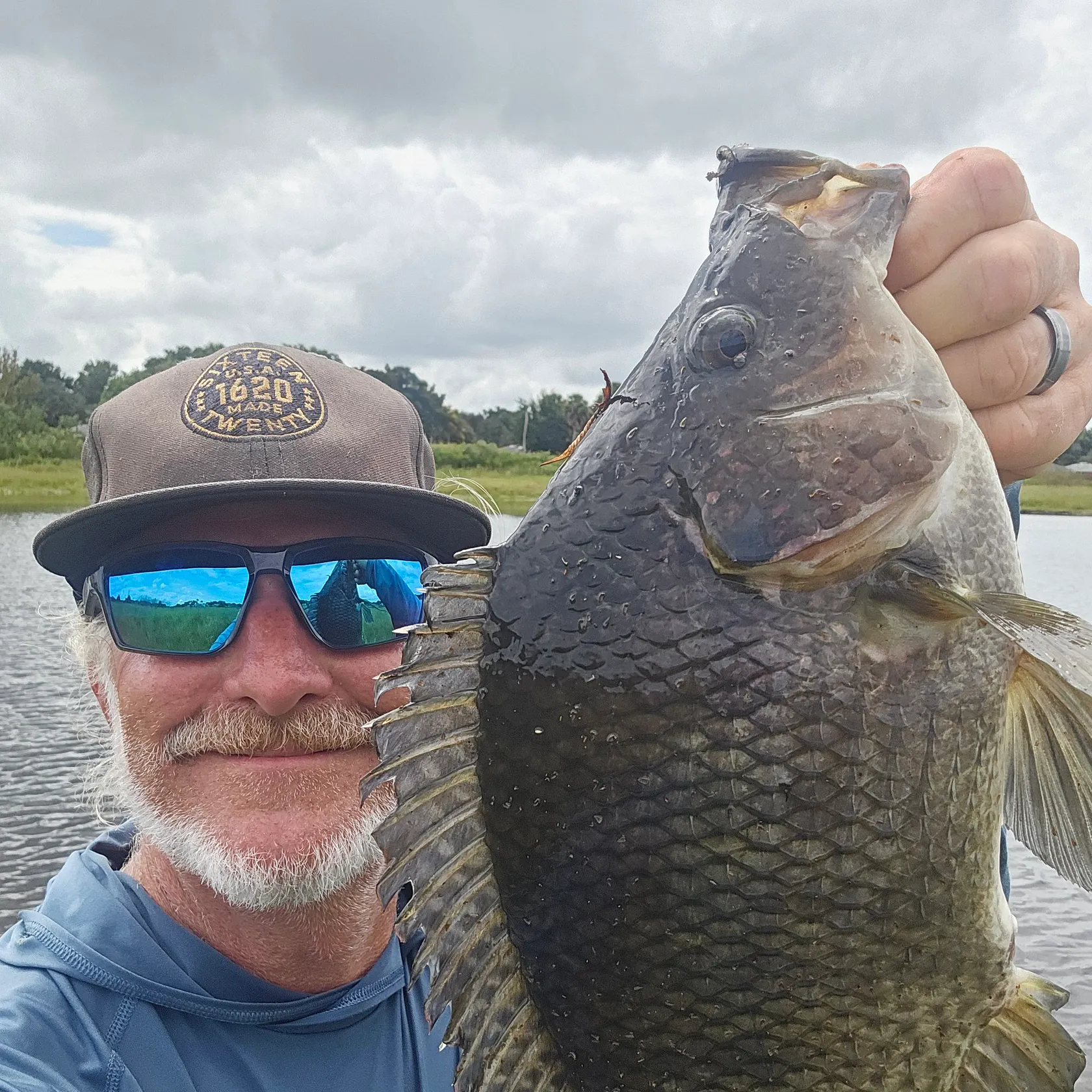 Blue tilapia caught on Fishbrain