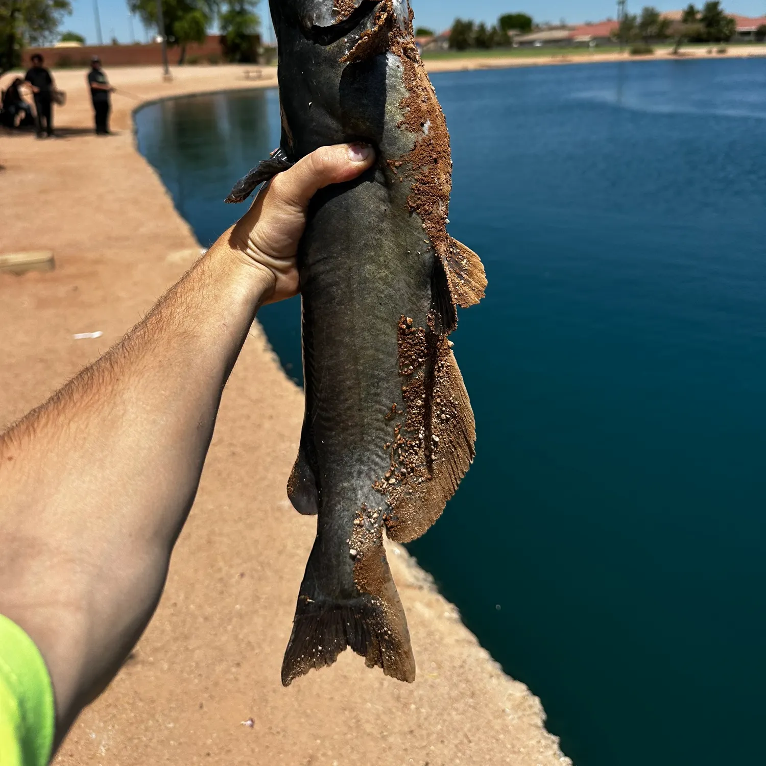 catch