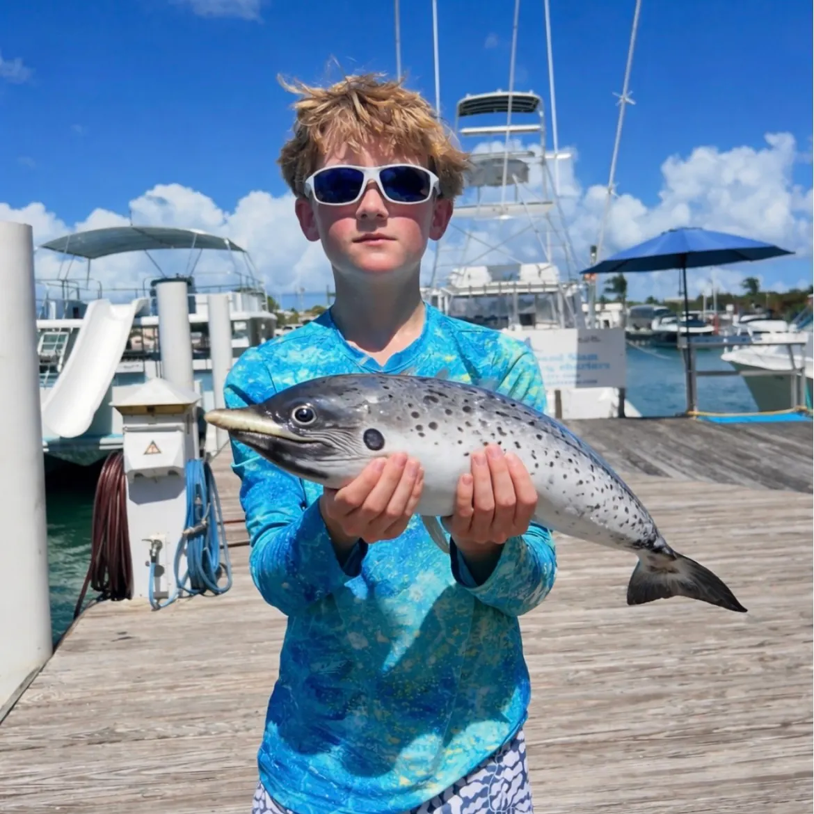 The most recent Whale shark catches on Fishbrain