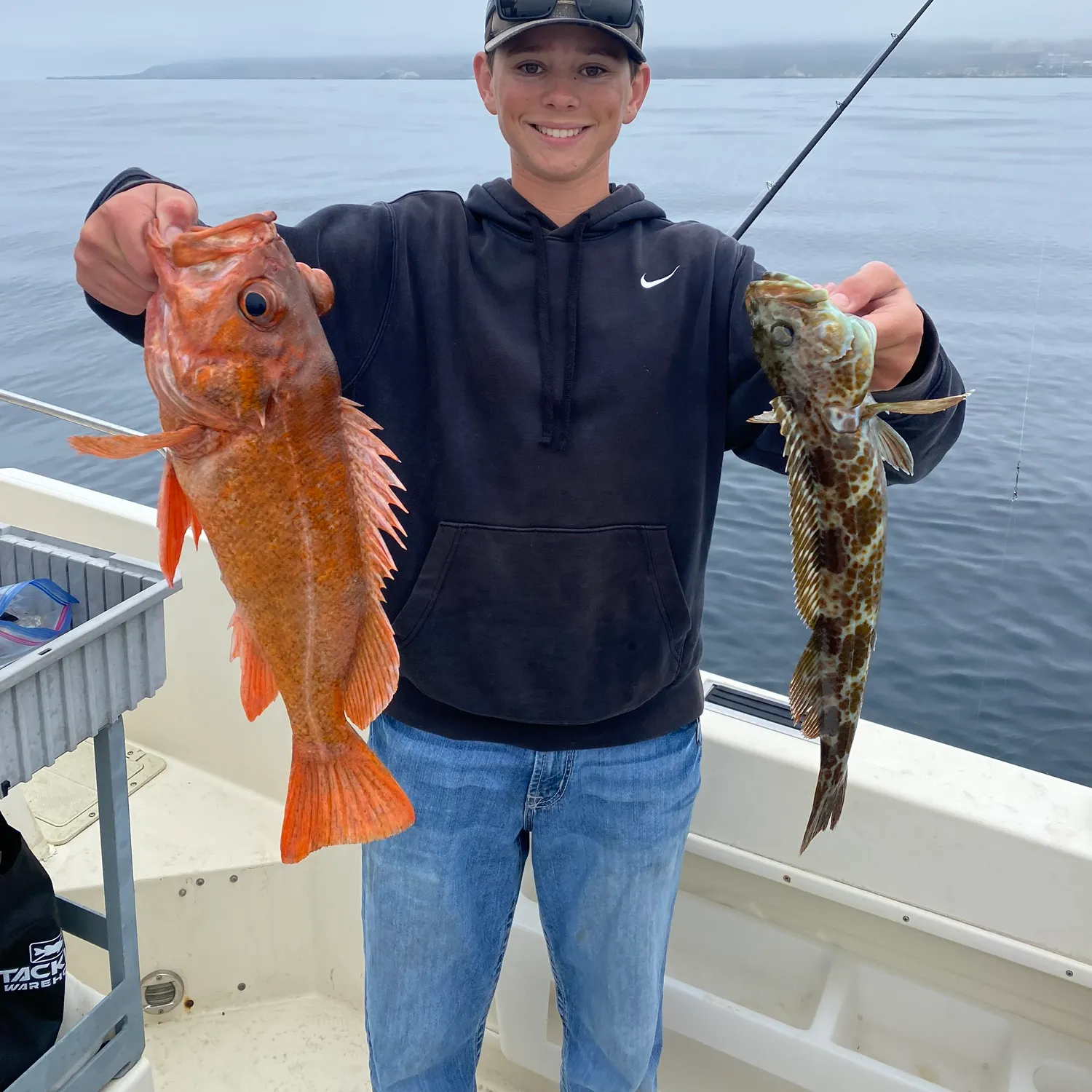 The most recent Yelloweye rockfish catches on Fishbrain