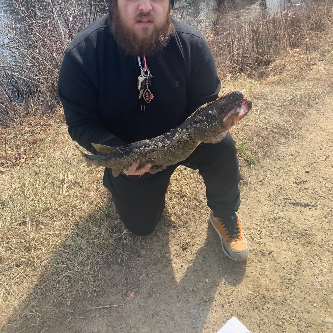 catch